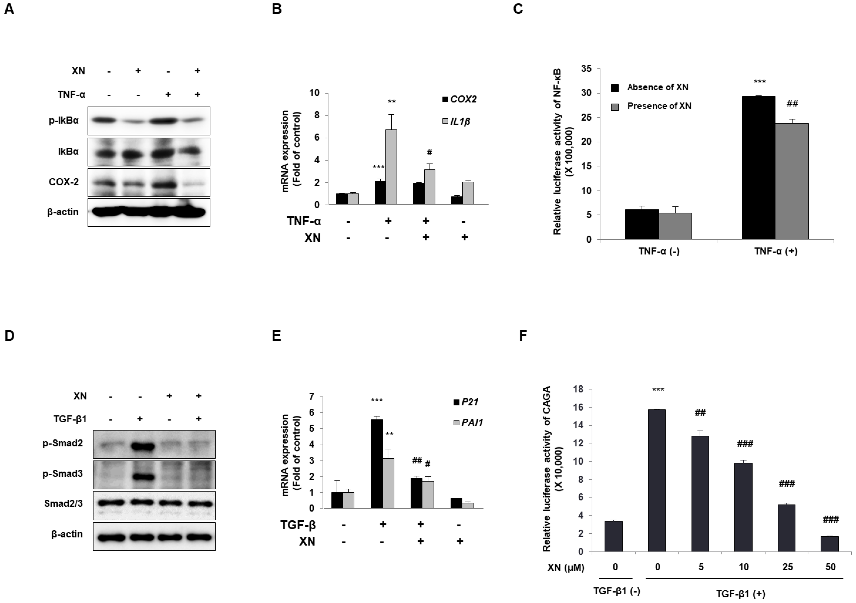 Nutrients 15 00099 g003