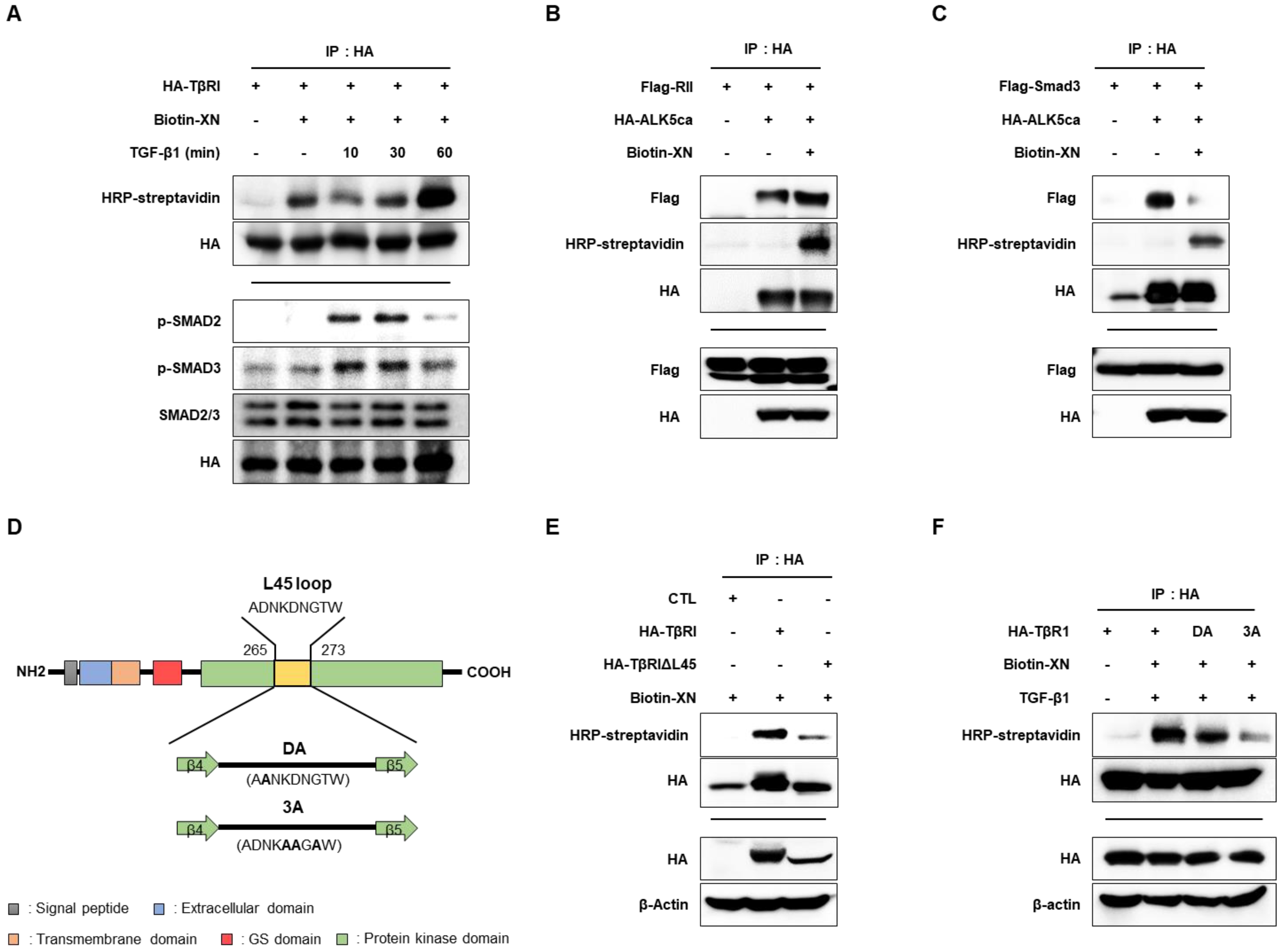 Nutrients 15 00099 g004