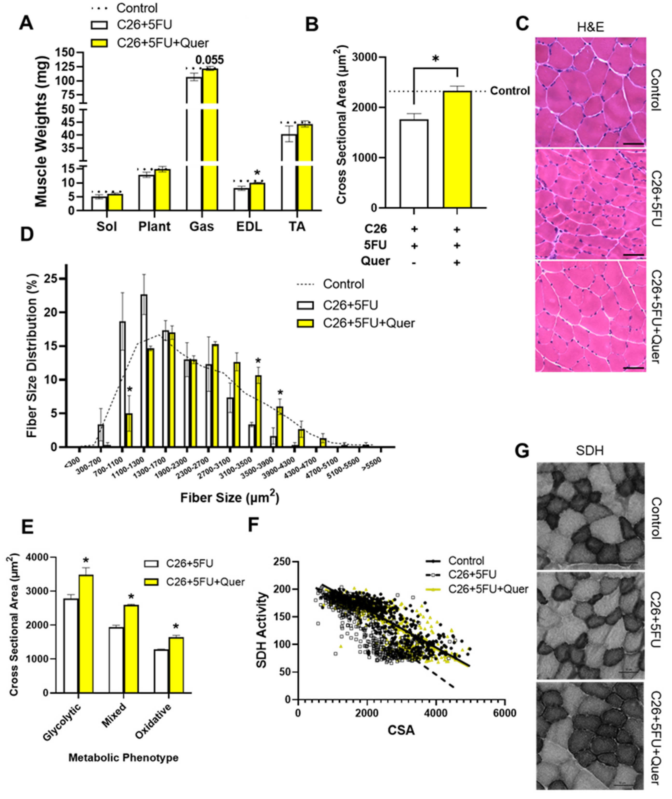 Nutrients 15 00102 g002 Nutrients 15 00102 g002