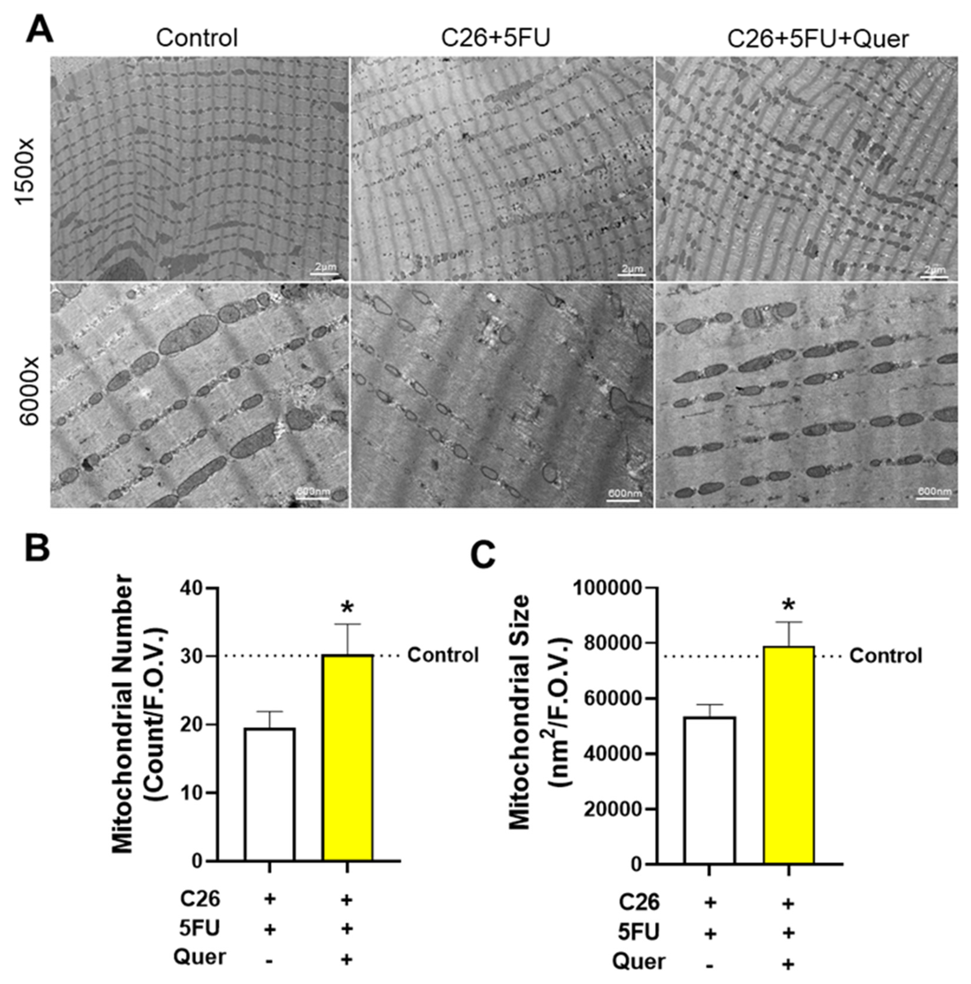 Nutrients 15 00102 g003 Nutrients 15 00102 g003