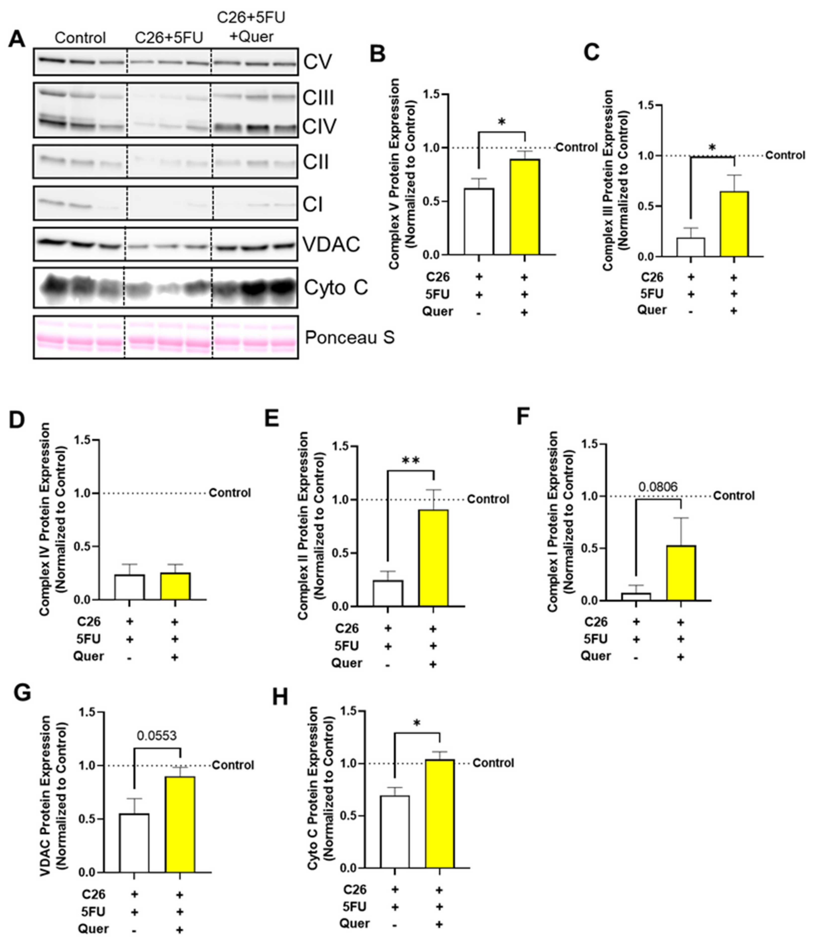 Nutrients 15 00102 g004 Nutrients 15 00102 g004