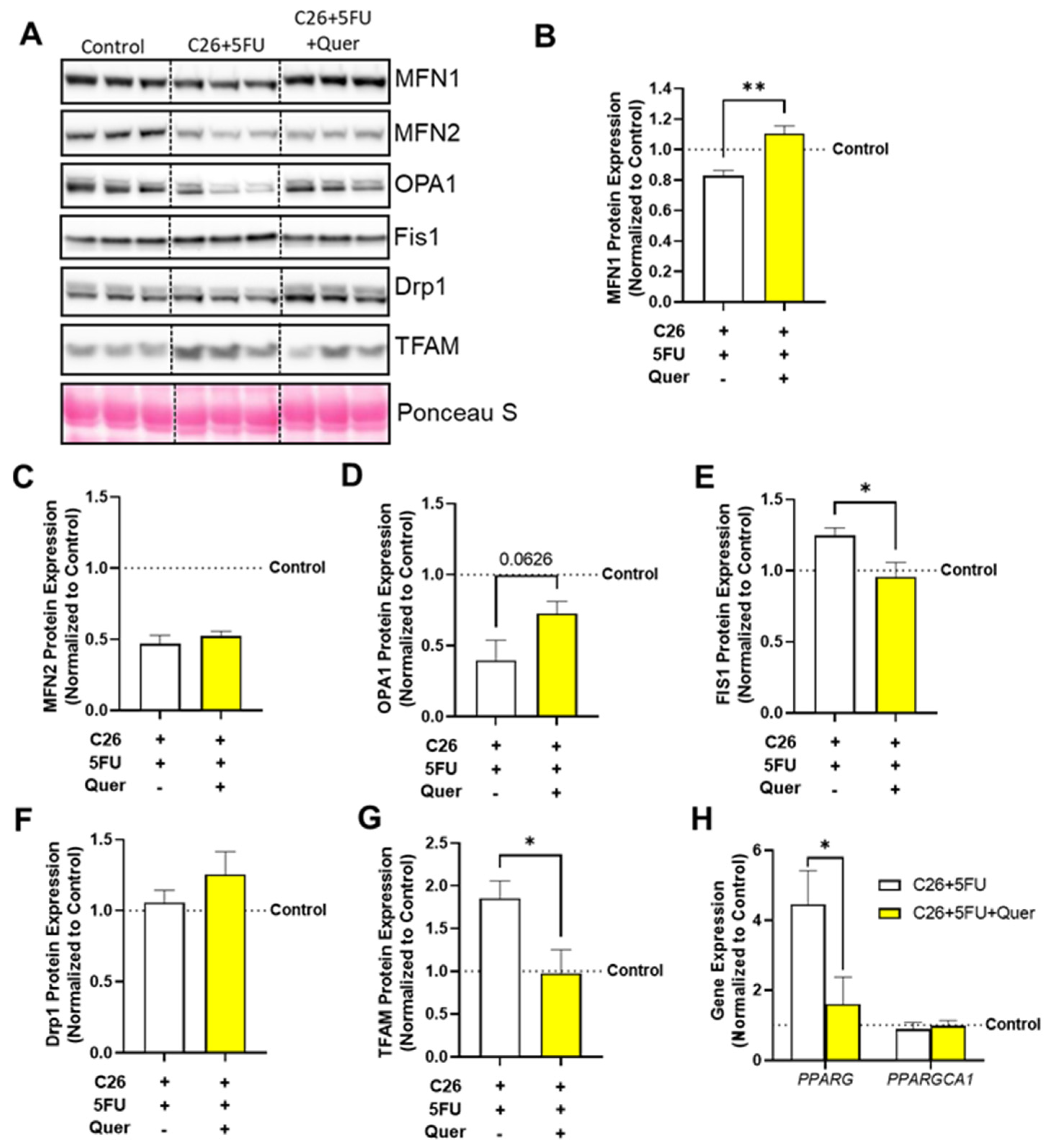 Nutrients 15 00102 g006 Nutrients 15 00102 g006