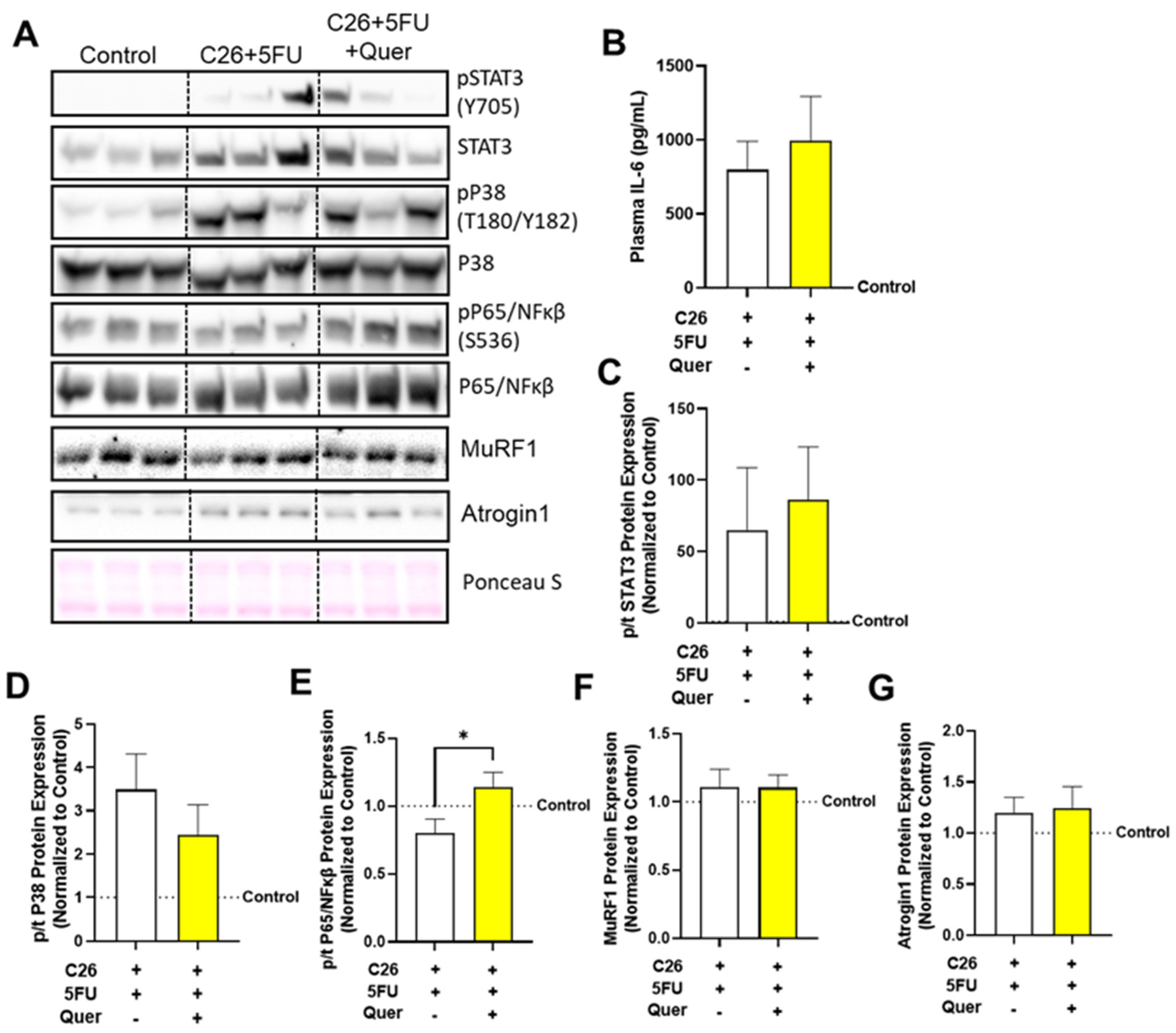 Nutrients 15 00102 g007 Nutrients 15 00102 g007