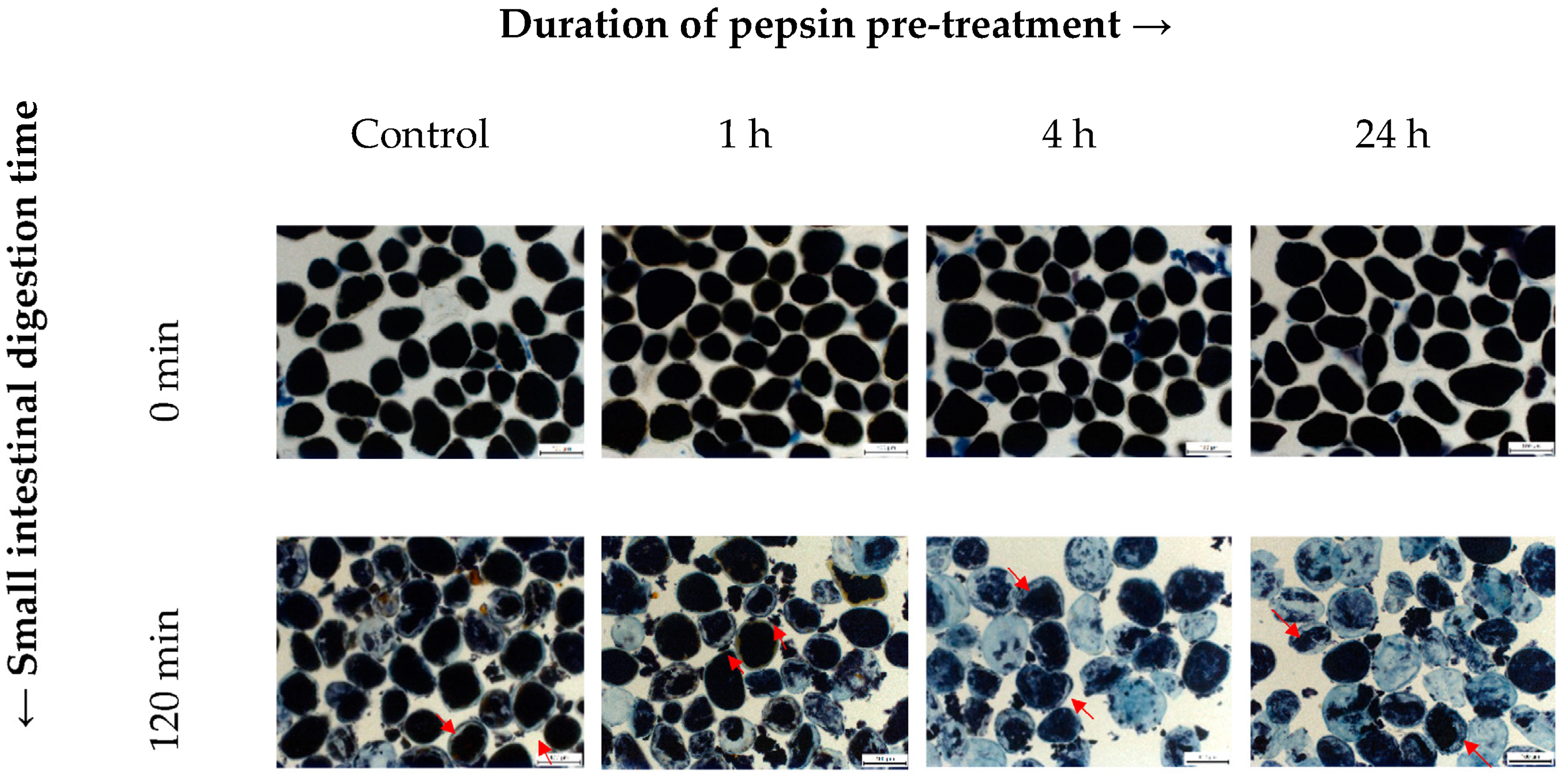 Nutrients 15 00105 g004