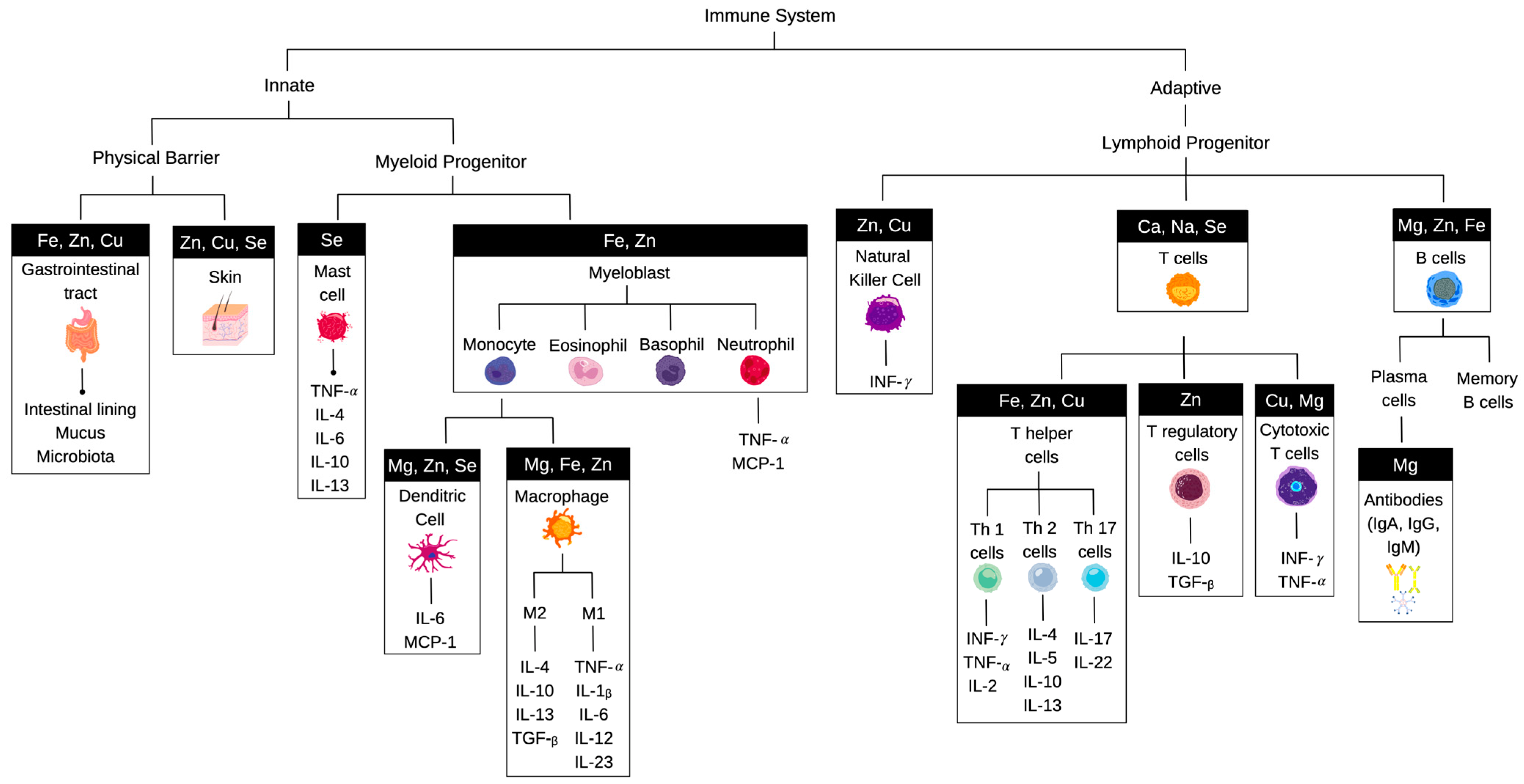 Nutrients 15 00123 g001 Nutrients 15 00123 g001