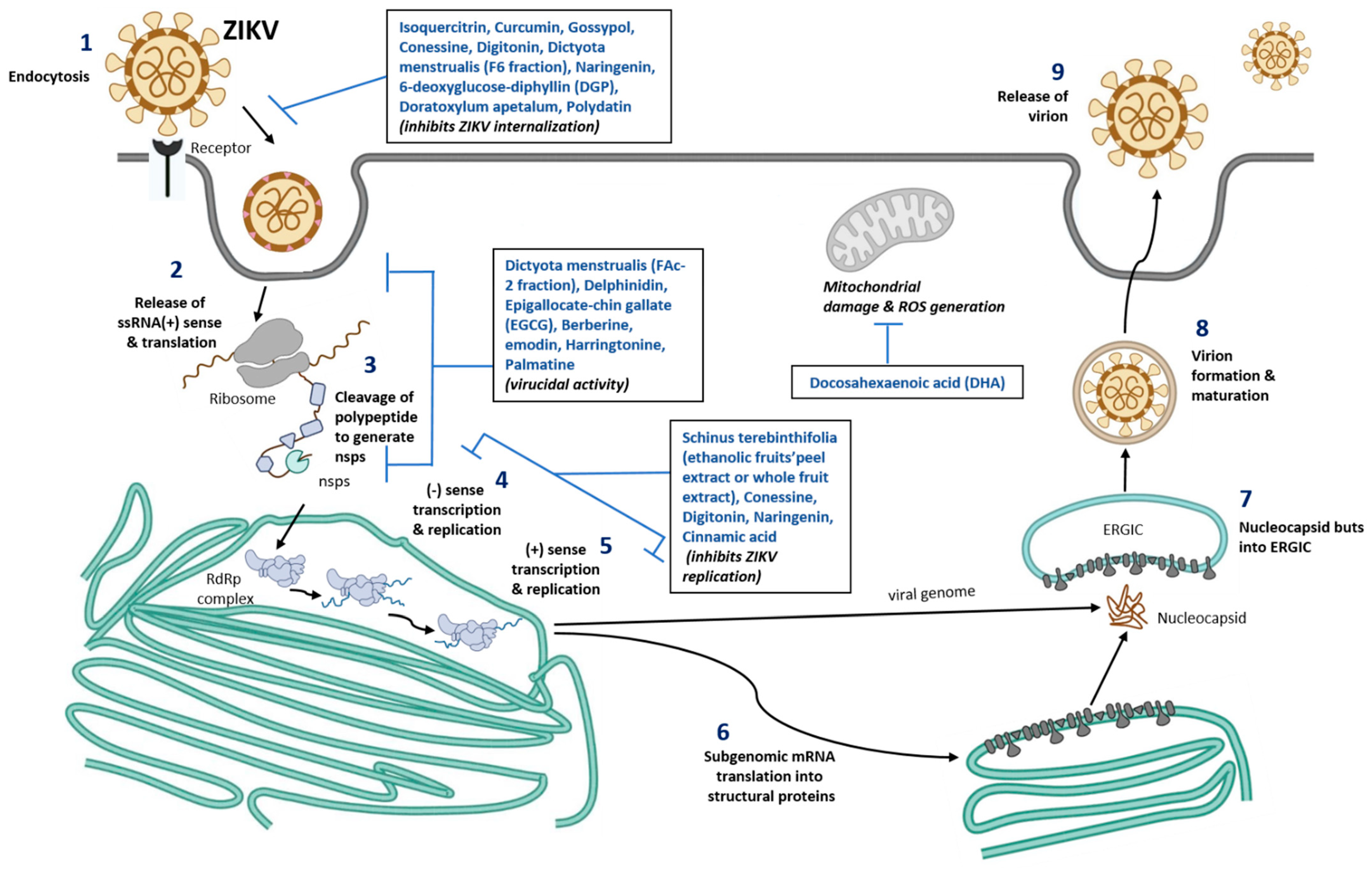 Nutrients 15 00124 g001 Nutrients 15 00124 g001