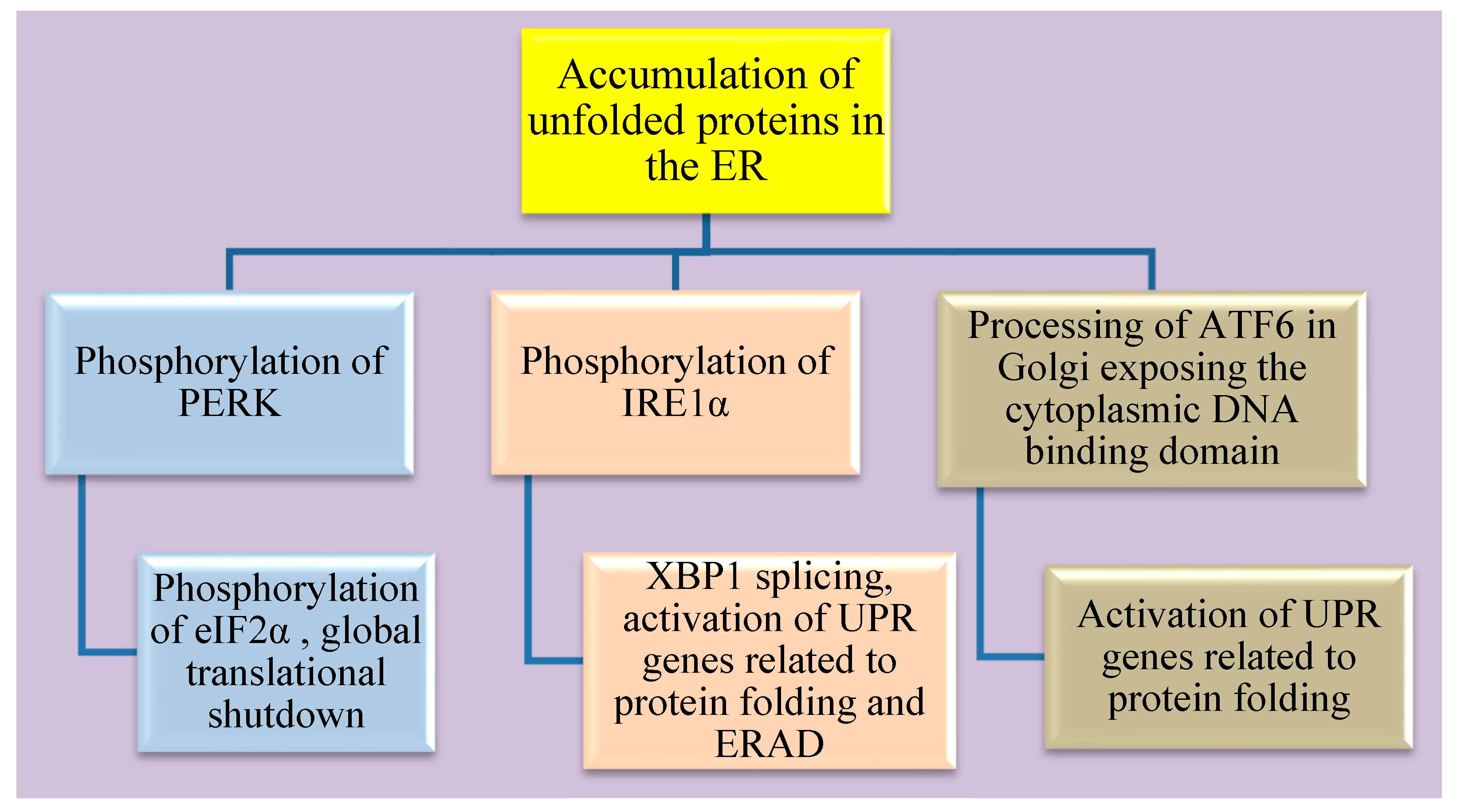 Nutrients 15 00124 g002 Nutrients 15 00124 g002