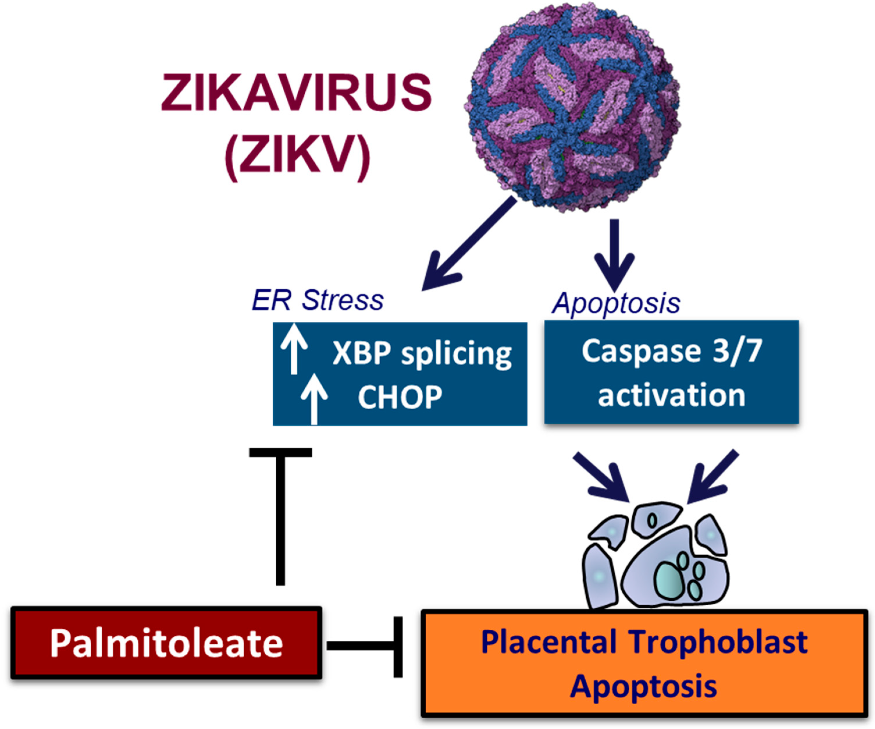 Nutrients 15 00124 g004 Nutrients 15 00124 g004
