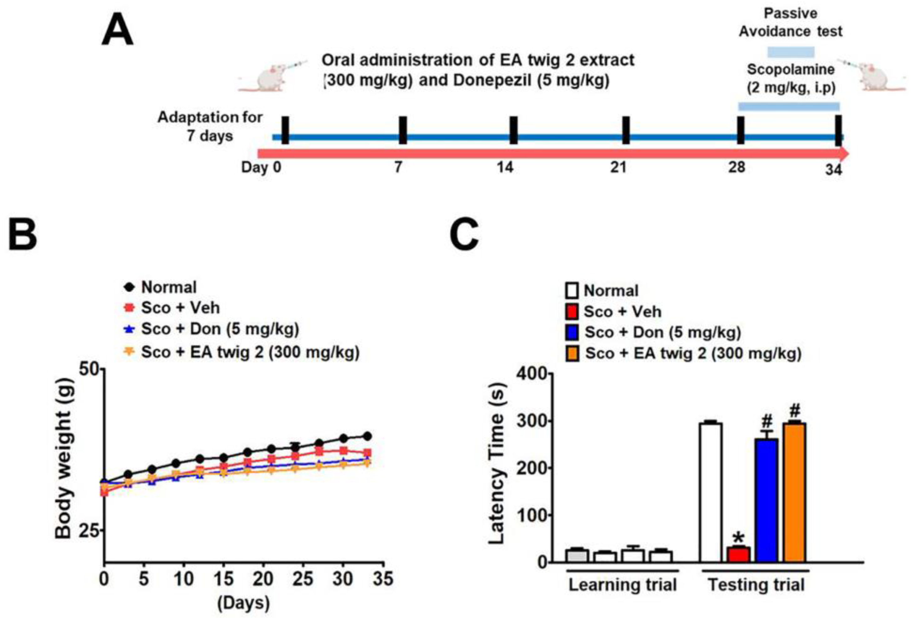 Nutrients 15 00128 g006 Nutrients 15 00128 g006
