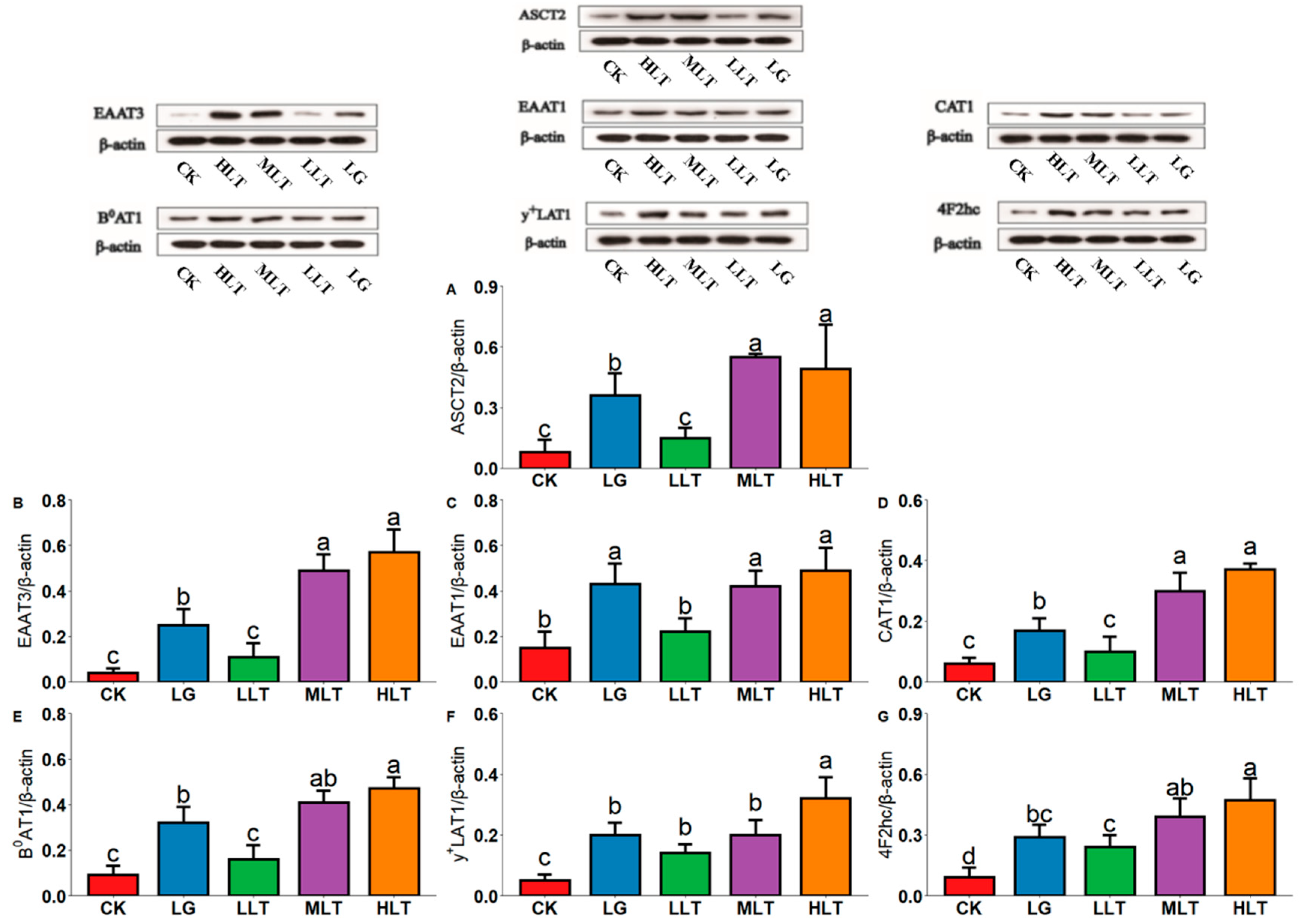 Nutrients 15 00142 g003