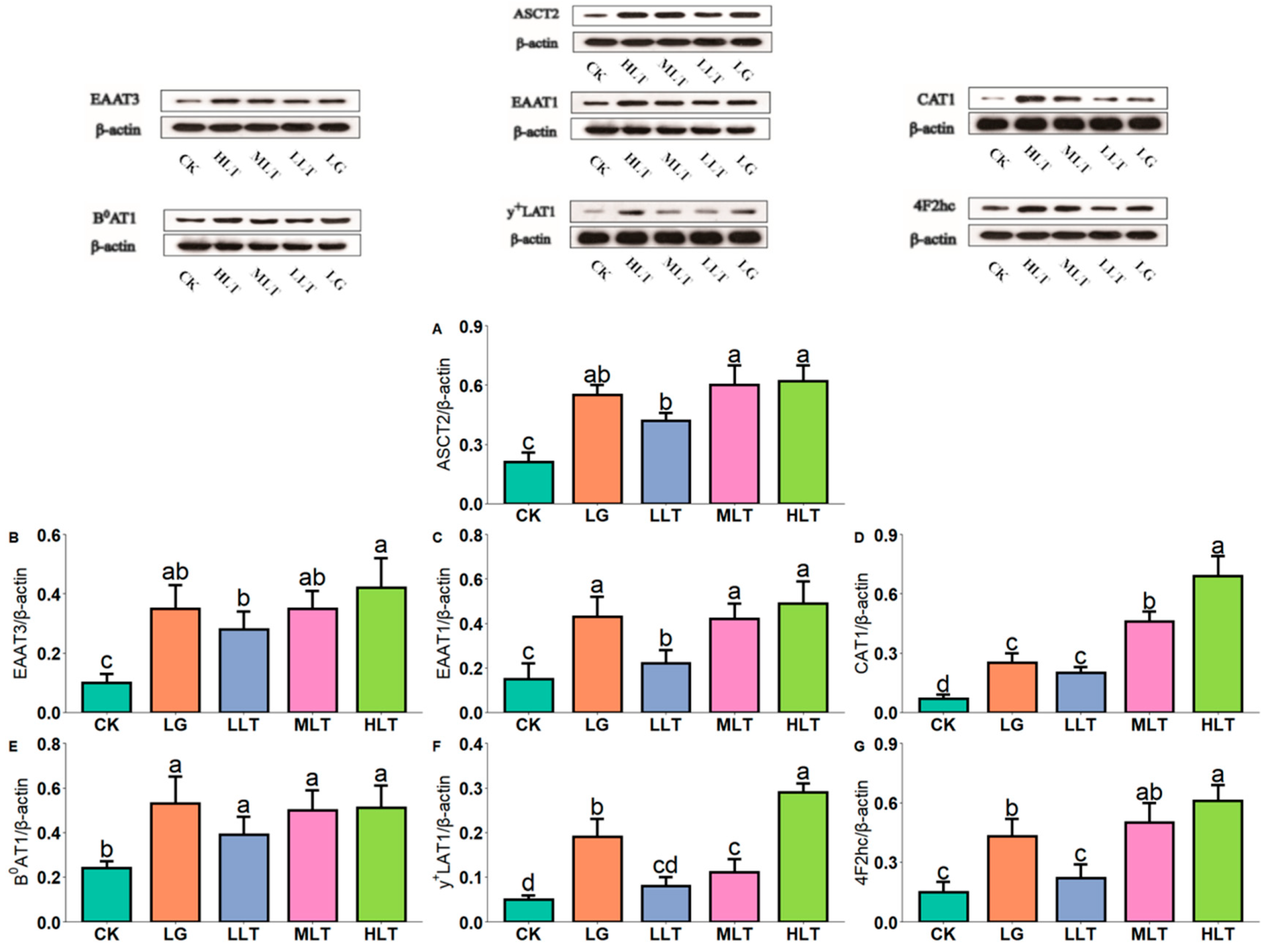 Nutrients 15 00142 g004