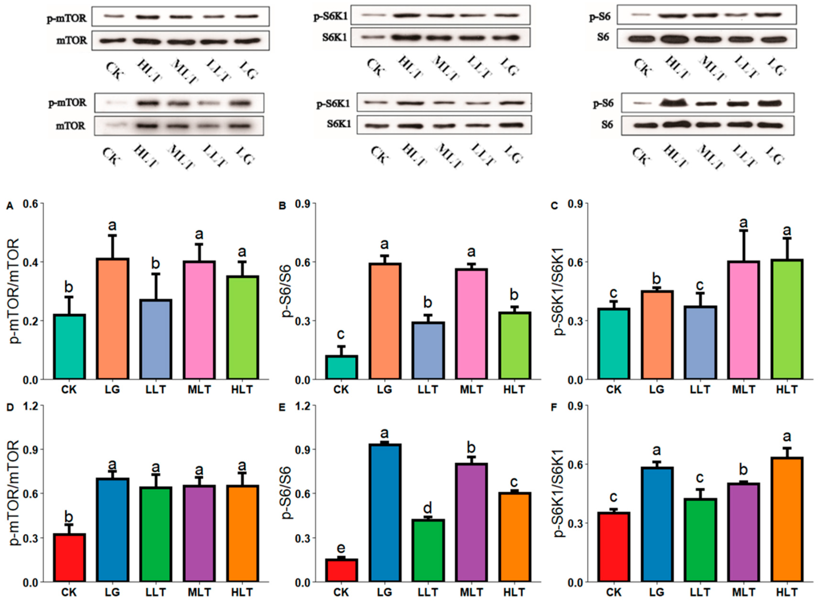 Nutrients 15 00142 g005