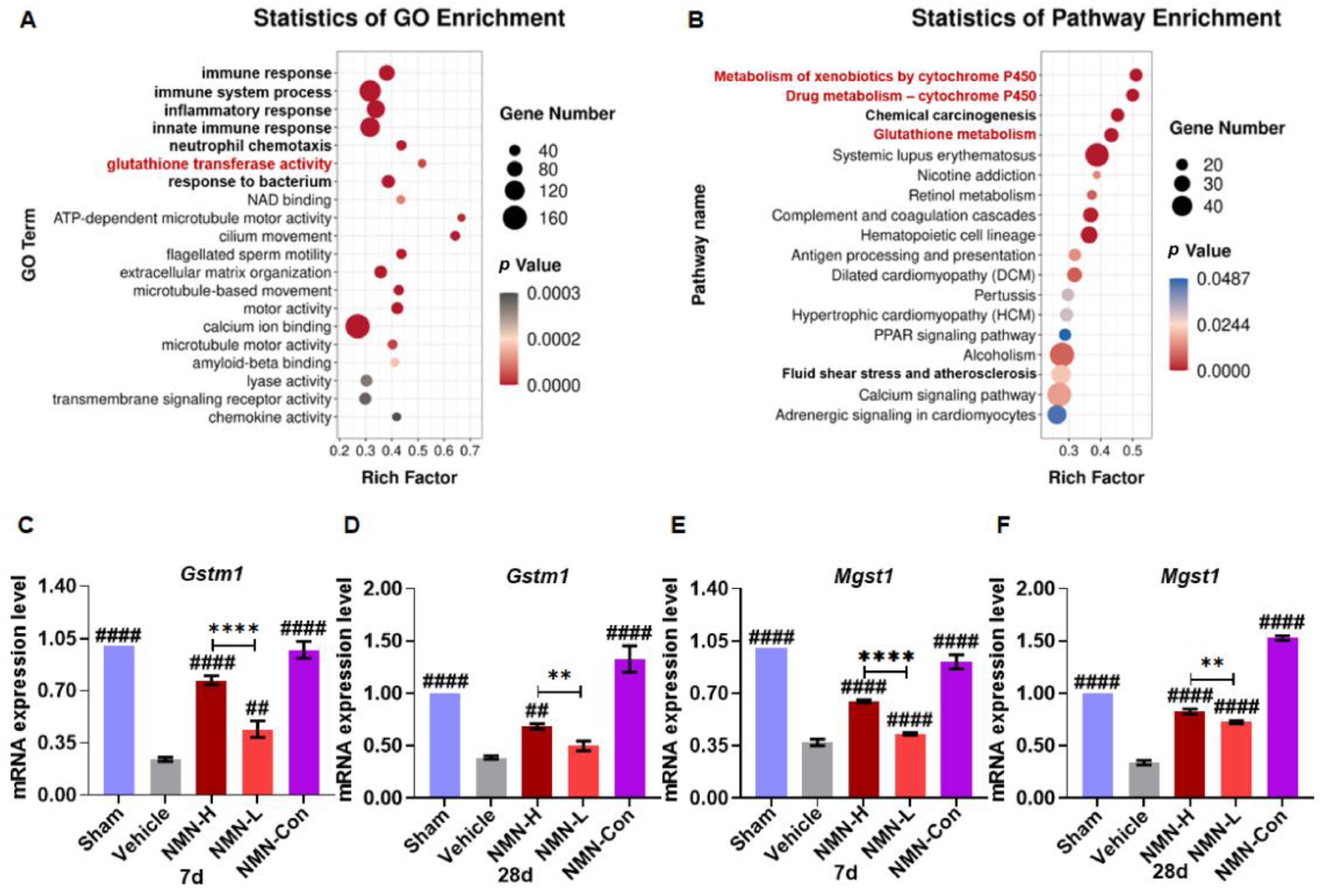 Nutrients 15 00143 g006