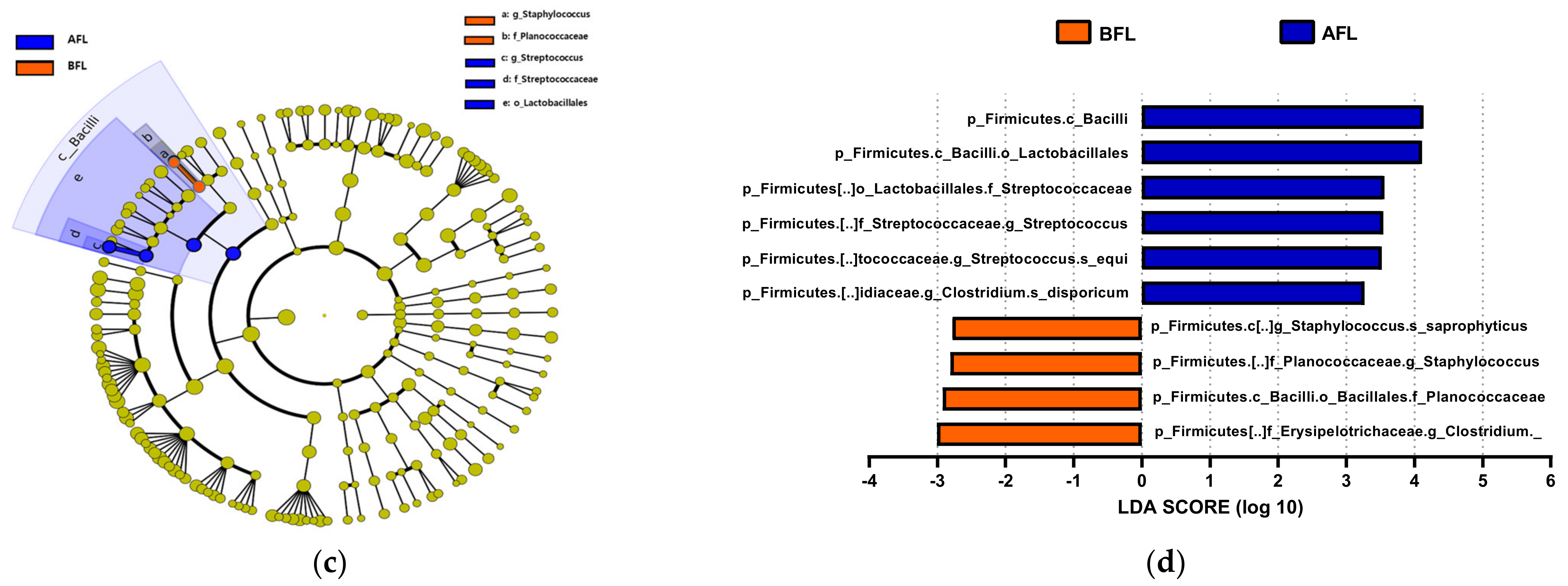 Nutrients 15 00145 g005b Nutrients 15 00145 g005b