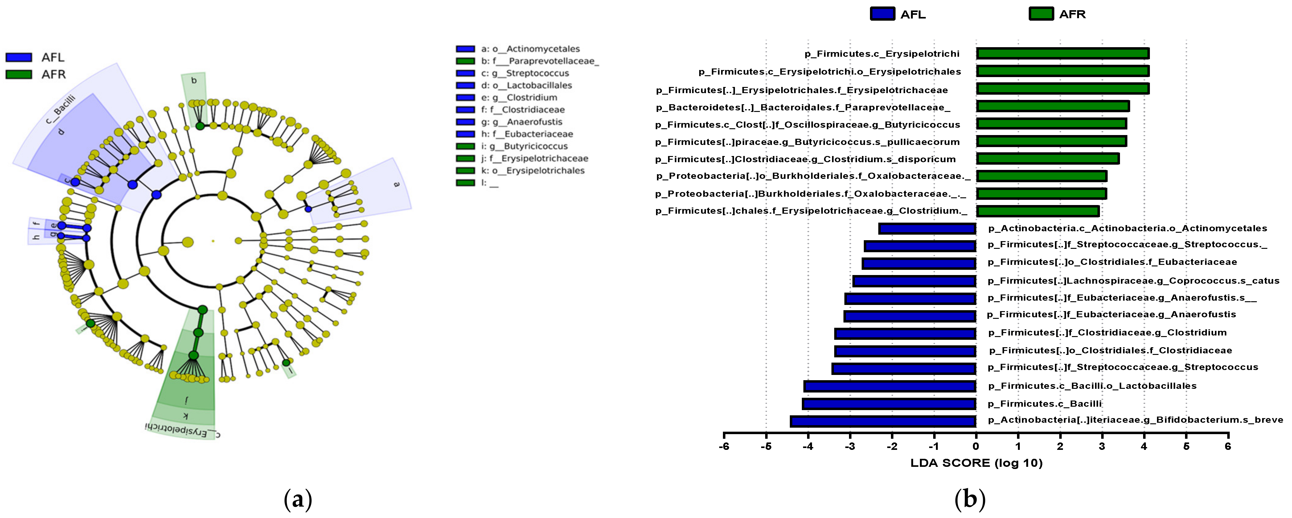 Nutrients 15 00145 g006 Nutrients 15 00145 g006