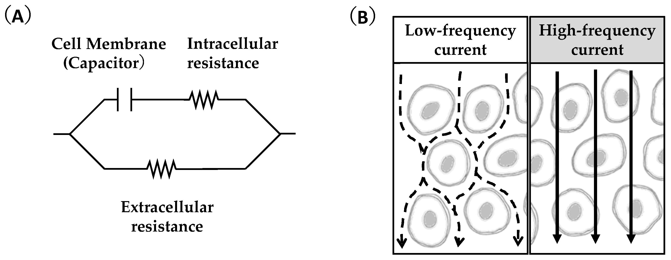 Nutrients 15 00155 g002