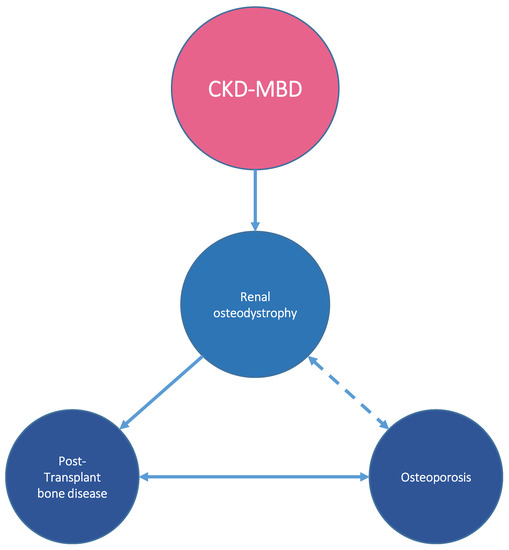 Bone Disease in Chronic Kidney Disease and Kidney Transplant