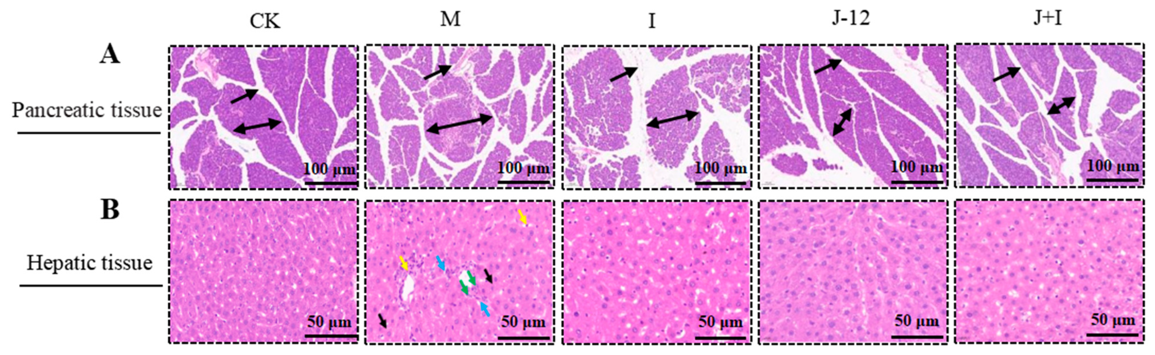 Nutrients 15 00170 g004 Nutrients 15 00170 g004