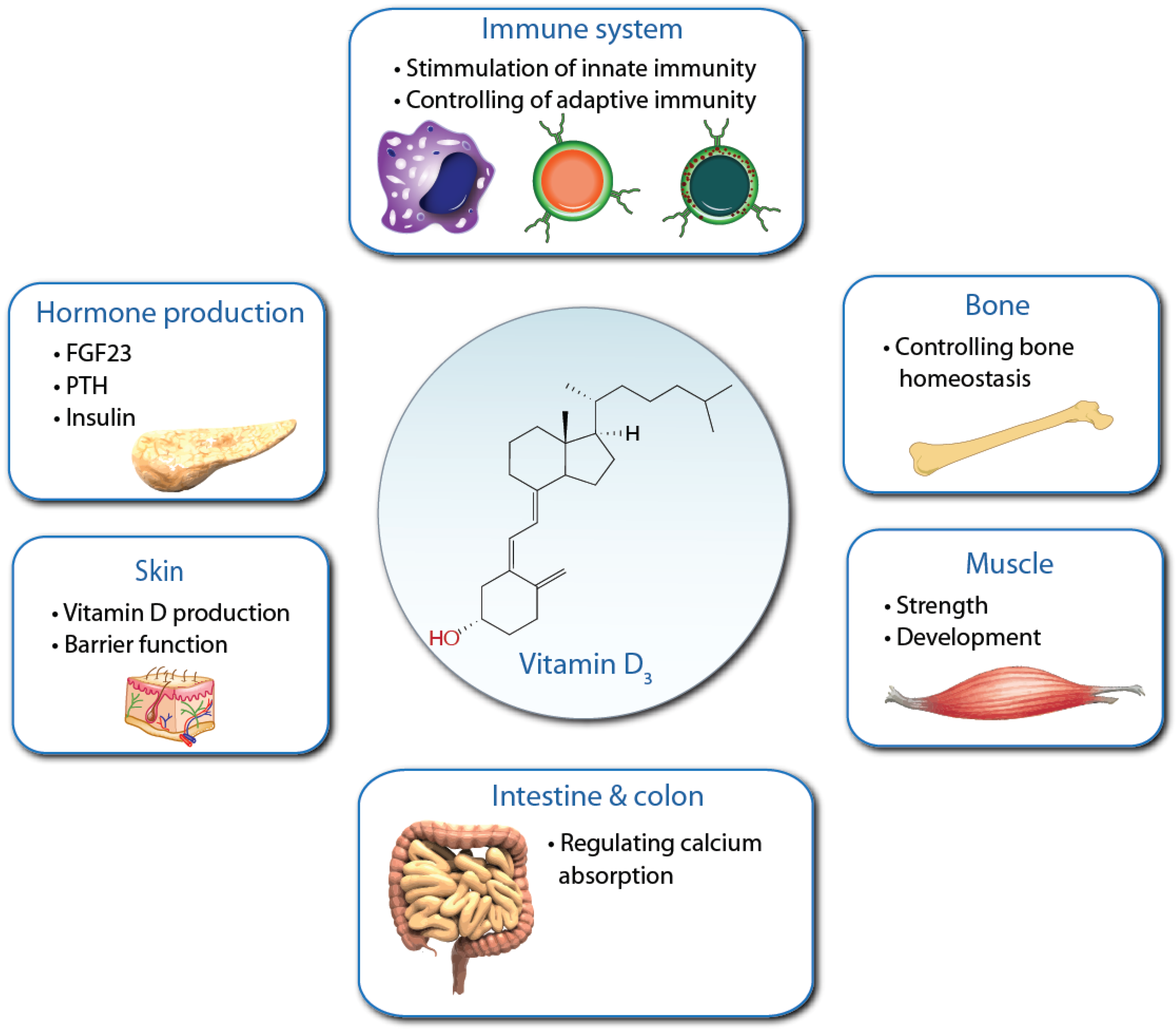 Nutrients 15 00171 g002
