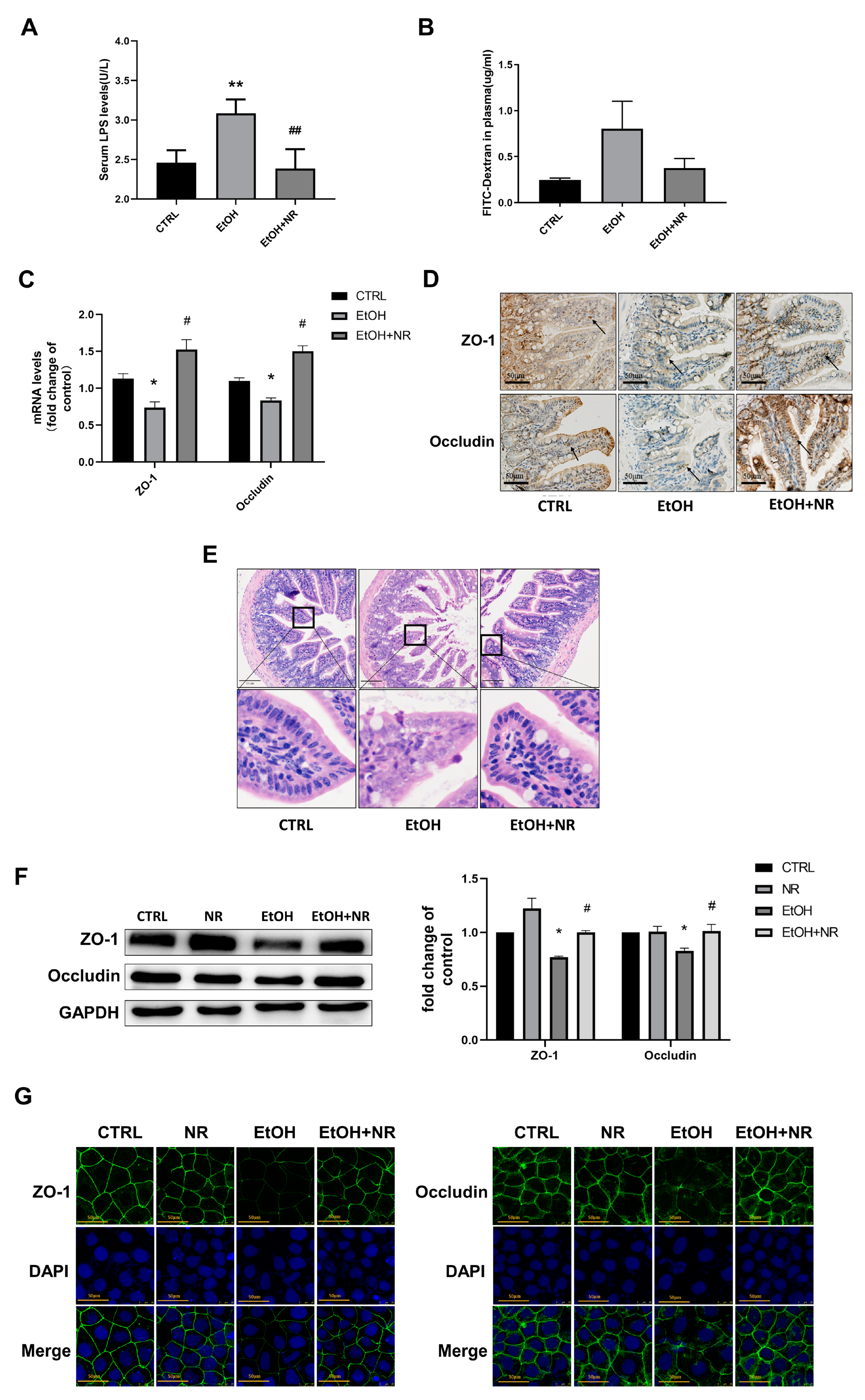 Nutrients 15 00174 g001 Nutrients 15 00174 g001