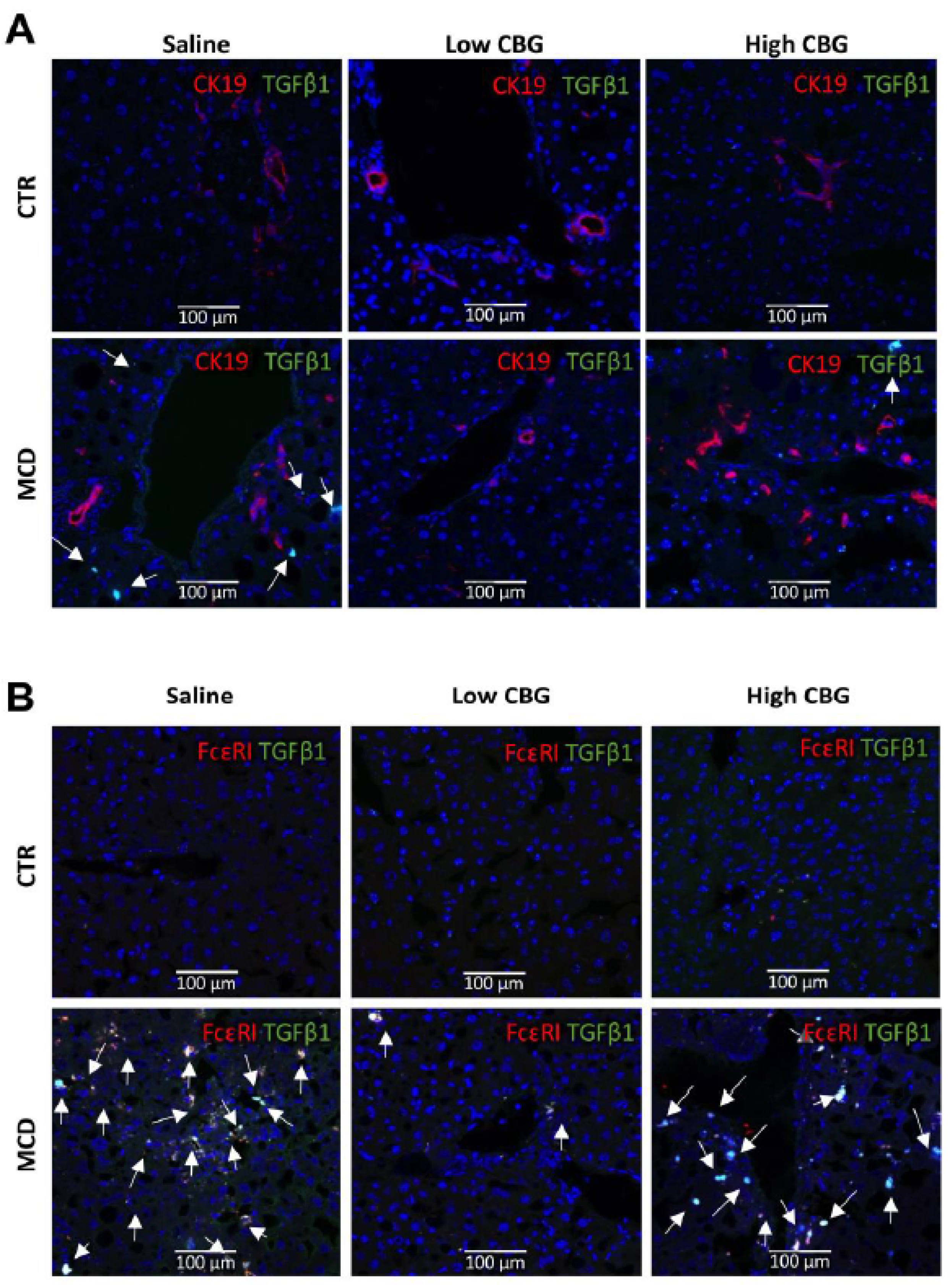 Nutrients 15 00178 g006 Nutrients 15 00178 g006