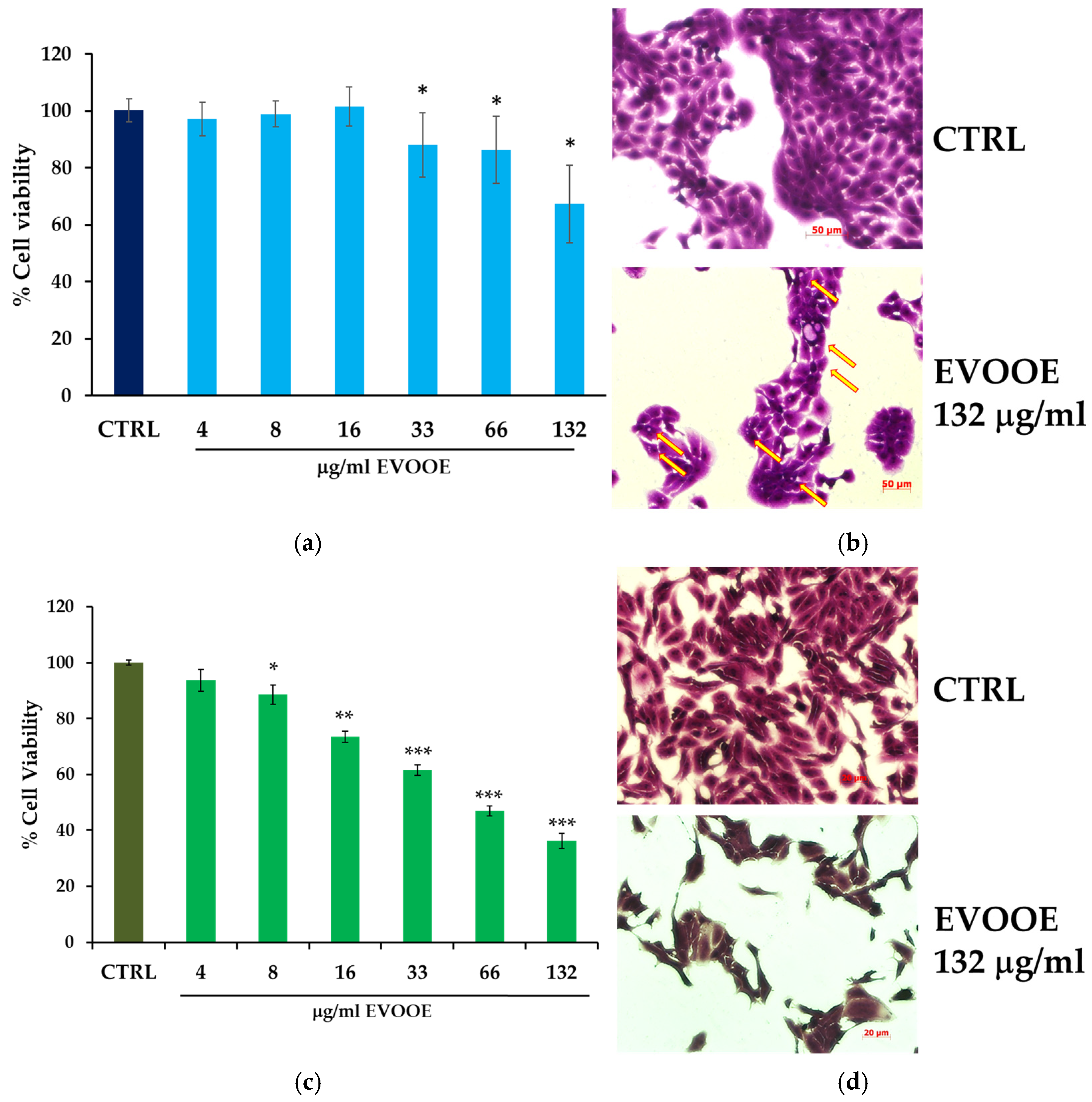 Nutrients 15 00182 g003 Nutrients 15 00182 g003