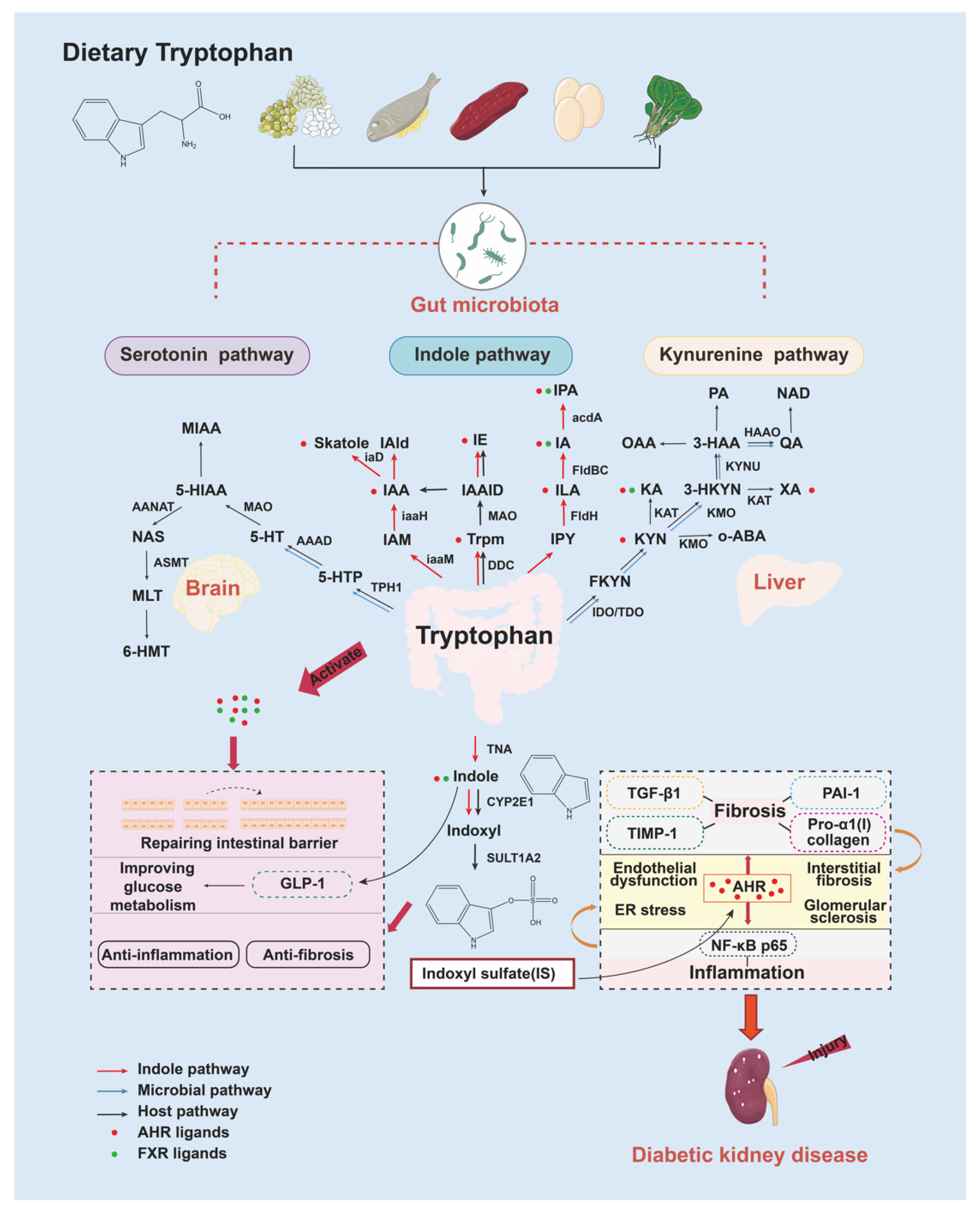 Nutrients 15 00184 g002