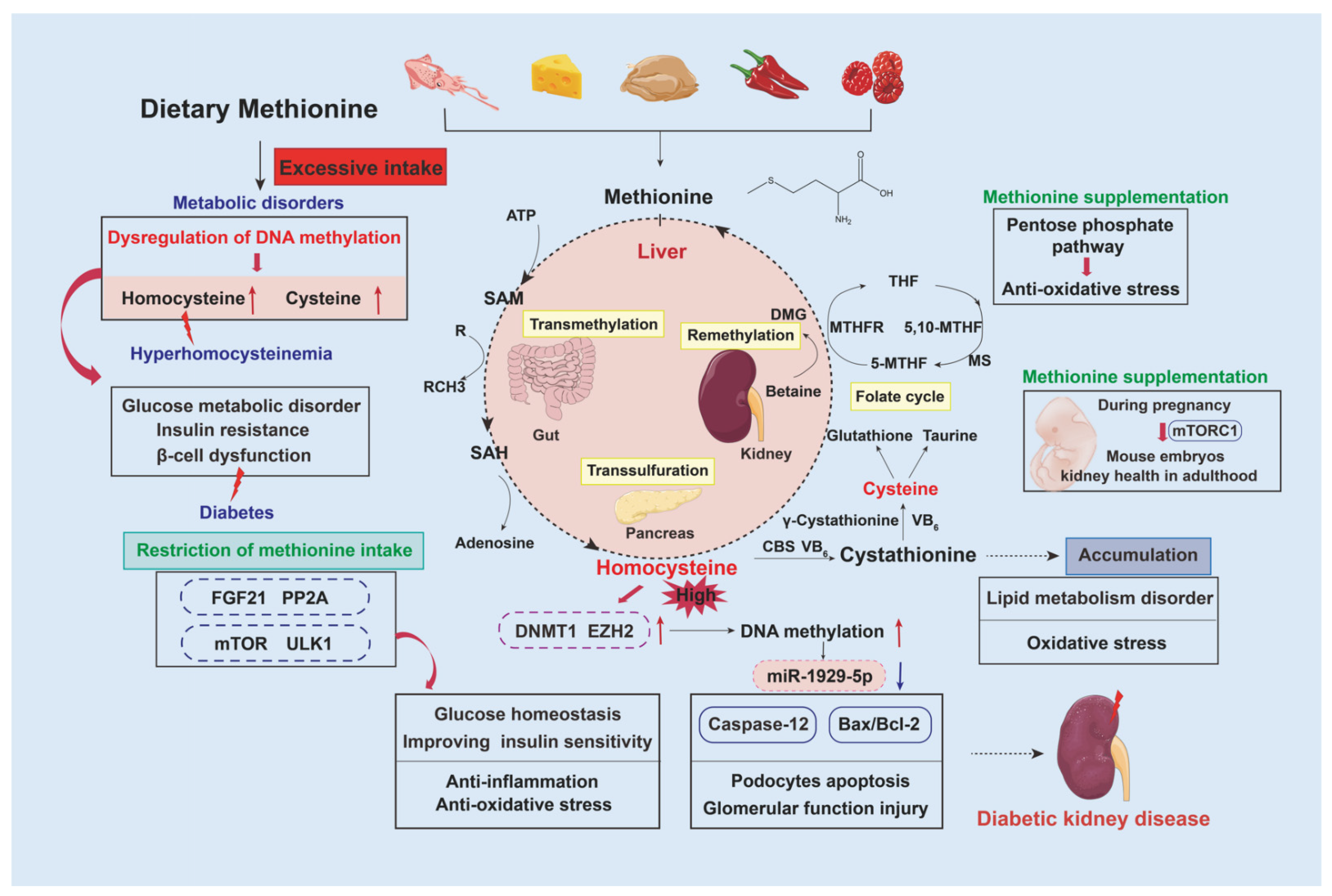 Nutrients 15 00184 g003