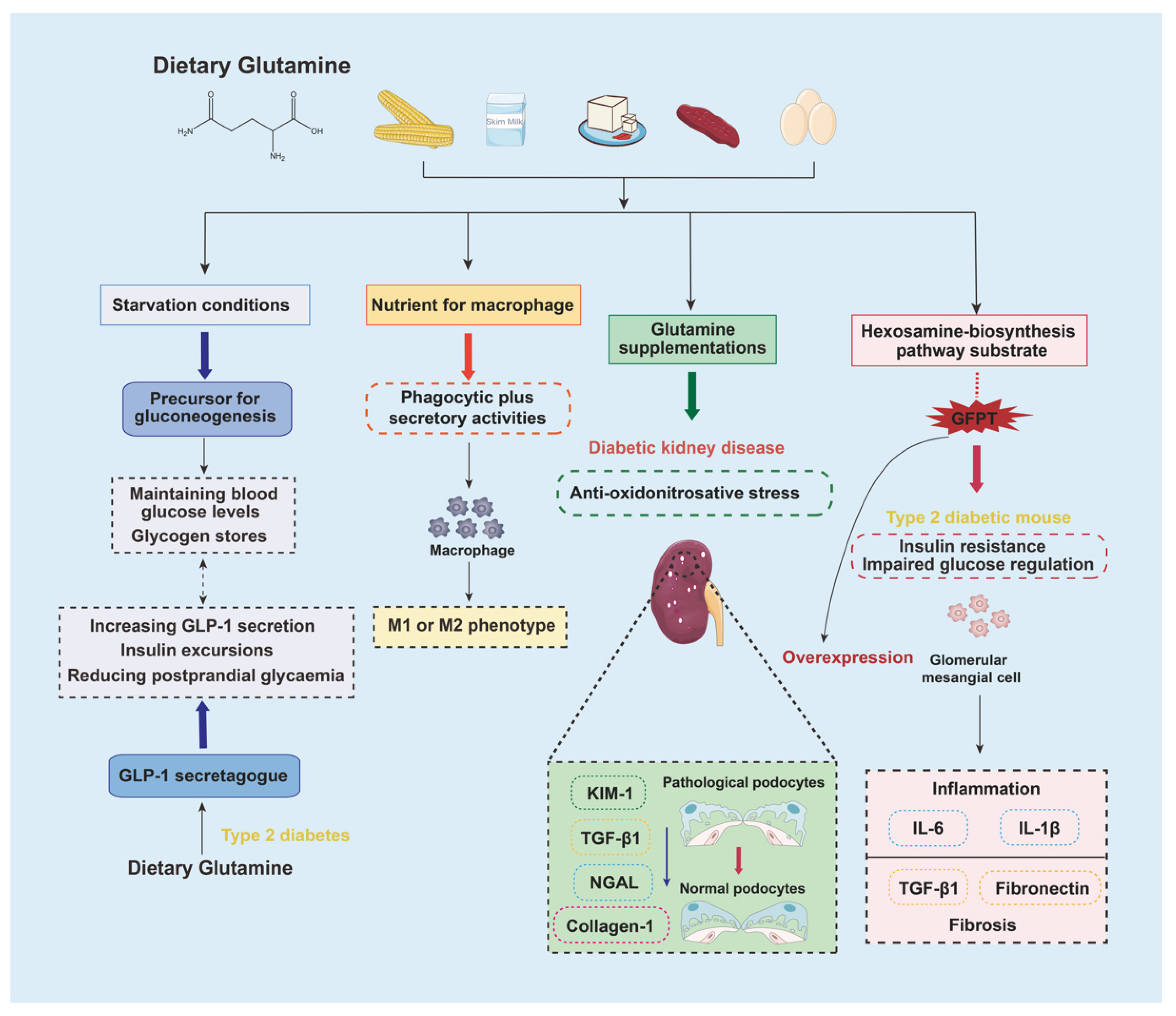 Nutrients 15 00184 g004