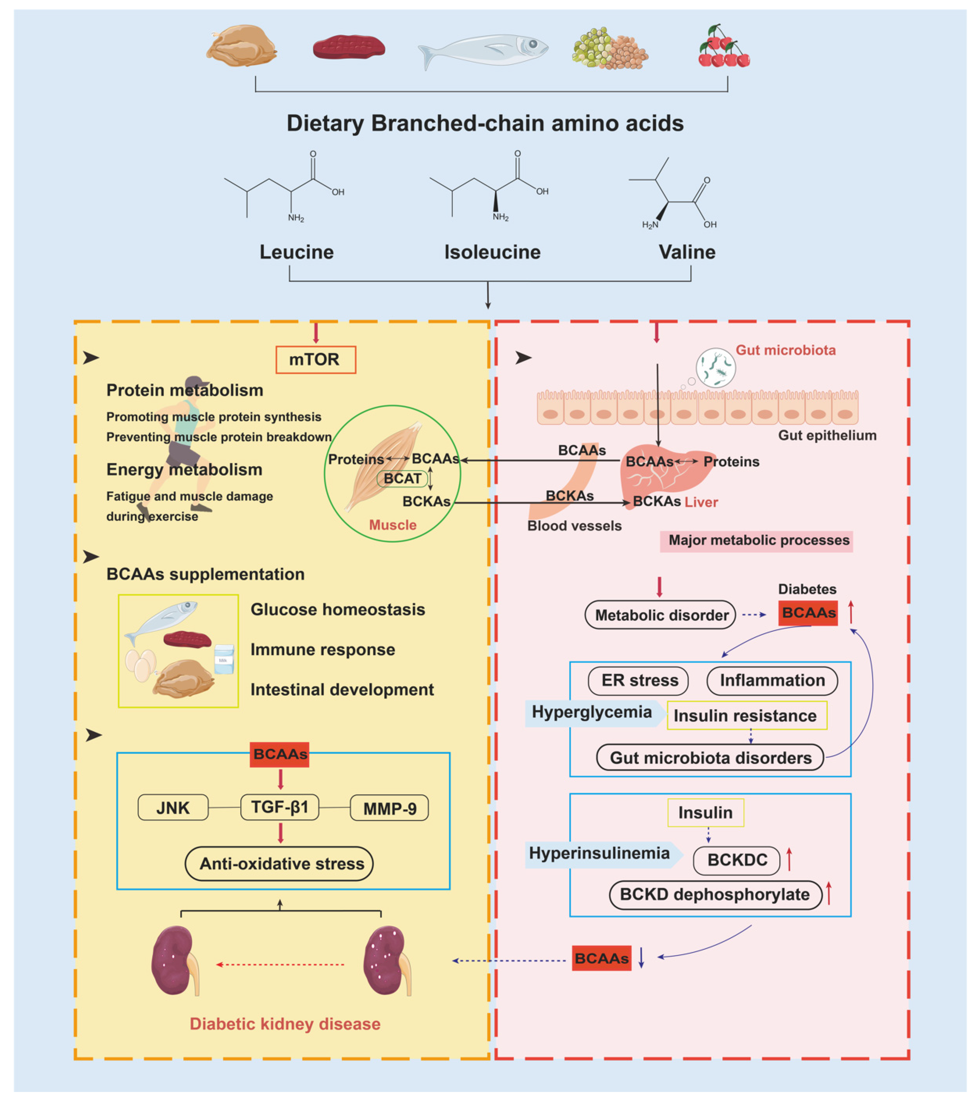 Nutrients 15 00184 g006