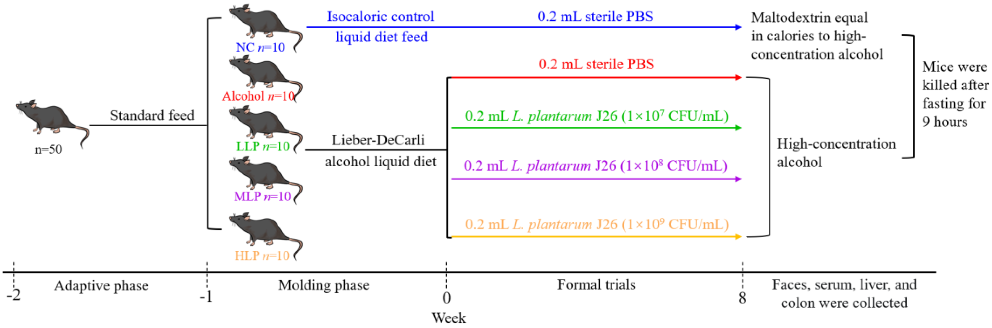 Nutrients 15 00190 g001 Nutrients 15 00190 g001