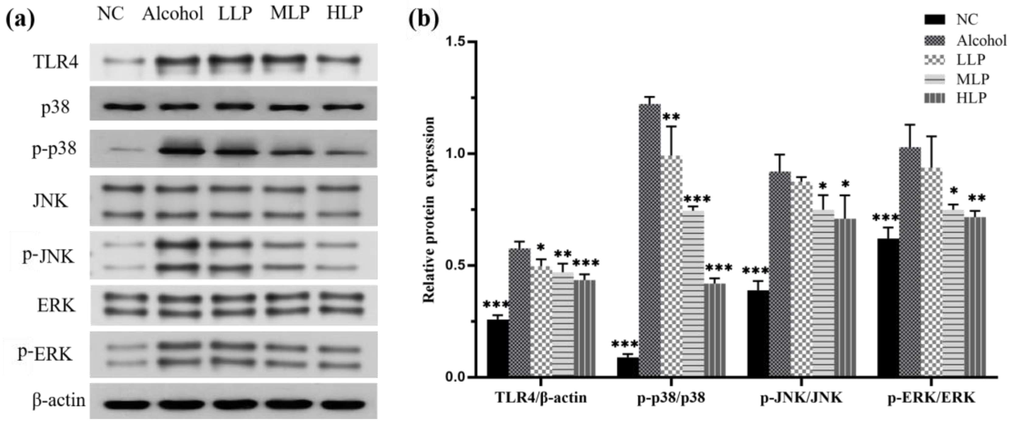 Nutrients 15 00190 g007 Nutrients 15 00190 g007