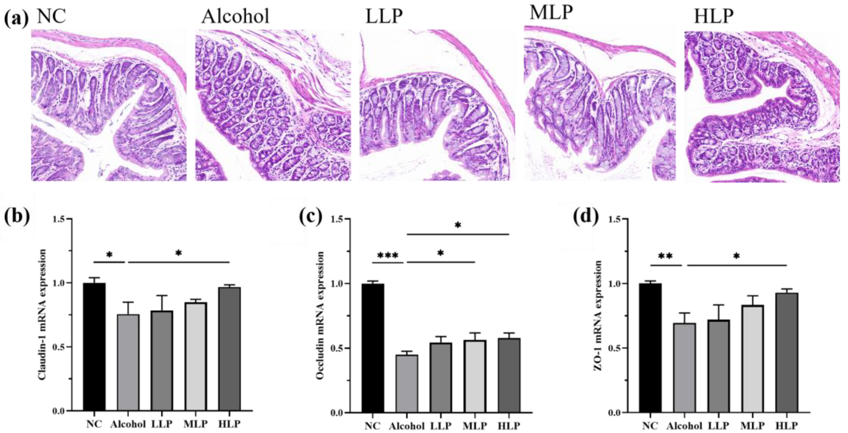 Nutrients 15 00190 g008 Nutrients 15 00190 g008
