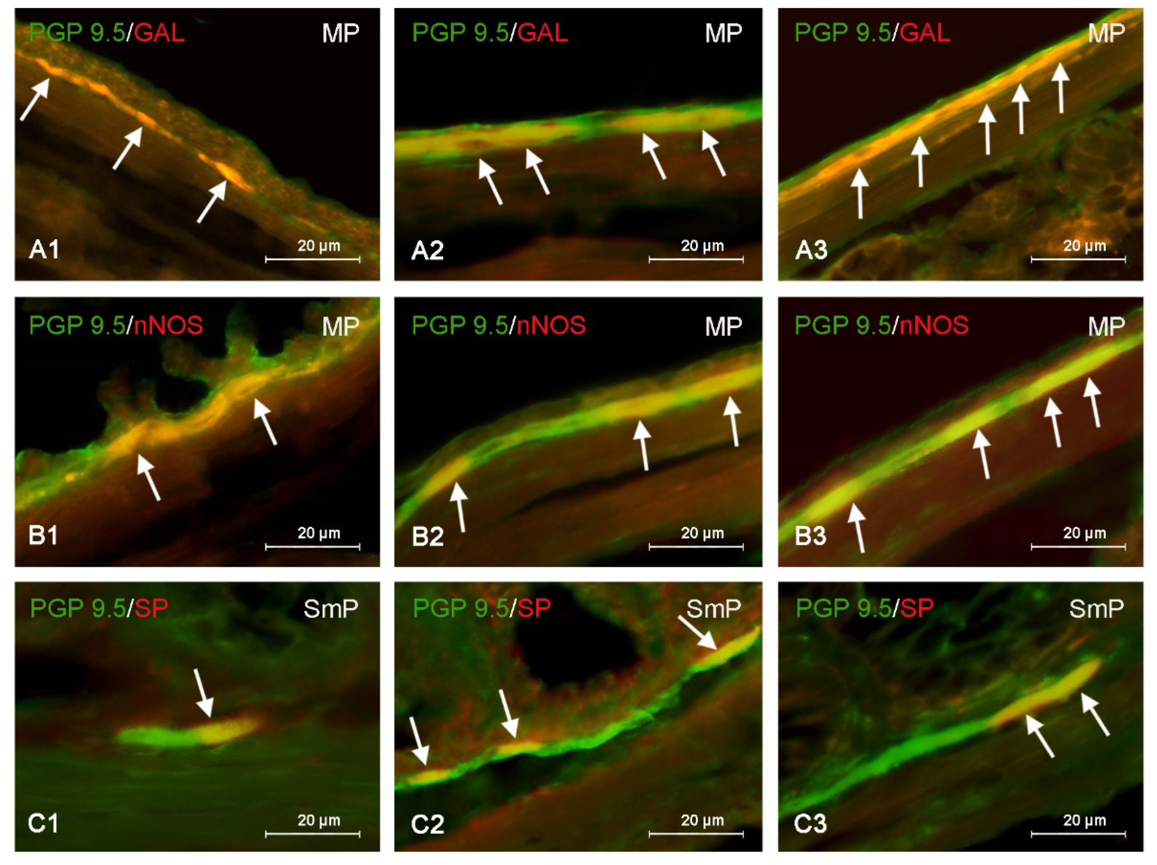 Nutrients 15 00200 g003