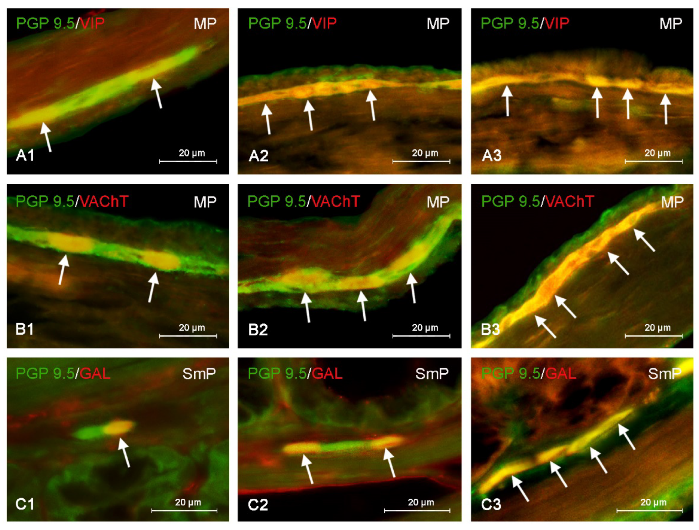 Nutrients 15 00200 g004
