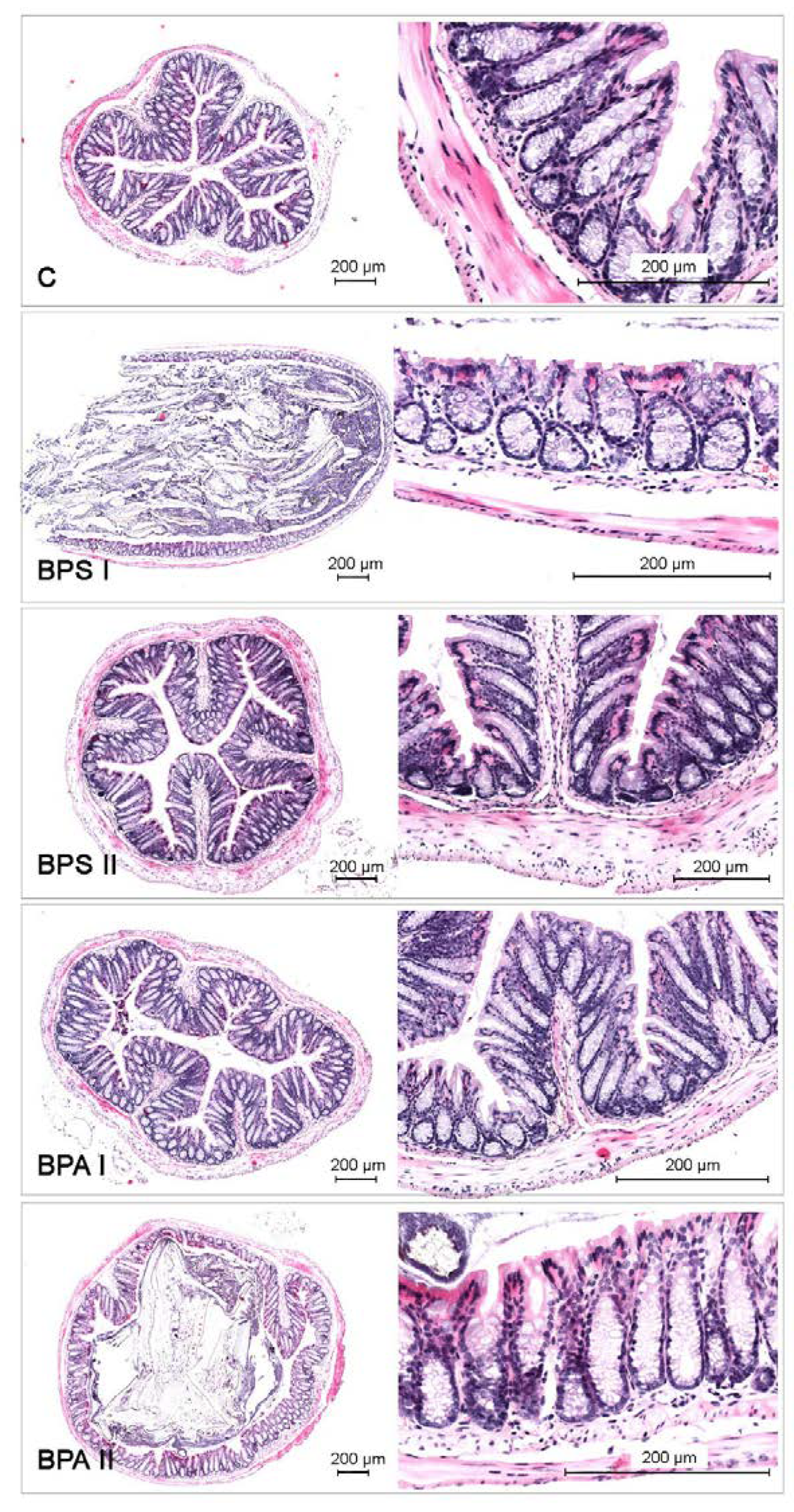 Nutrients 15 00200 g007