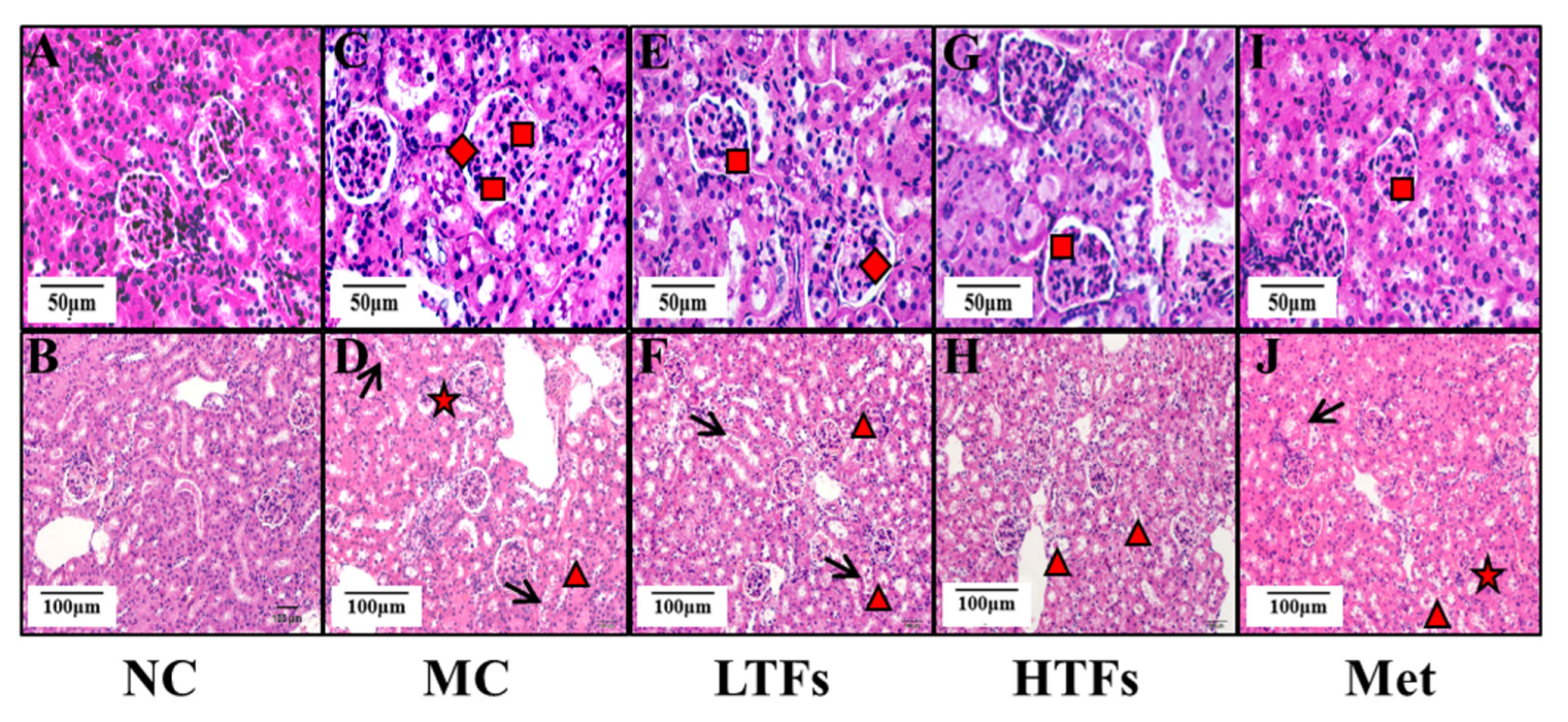 Nutrients 15 00201 g004