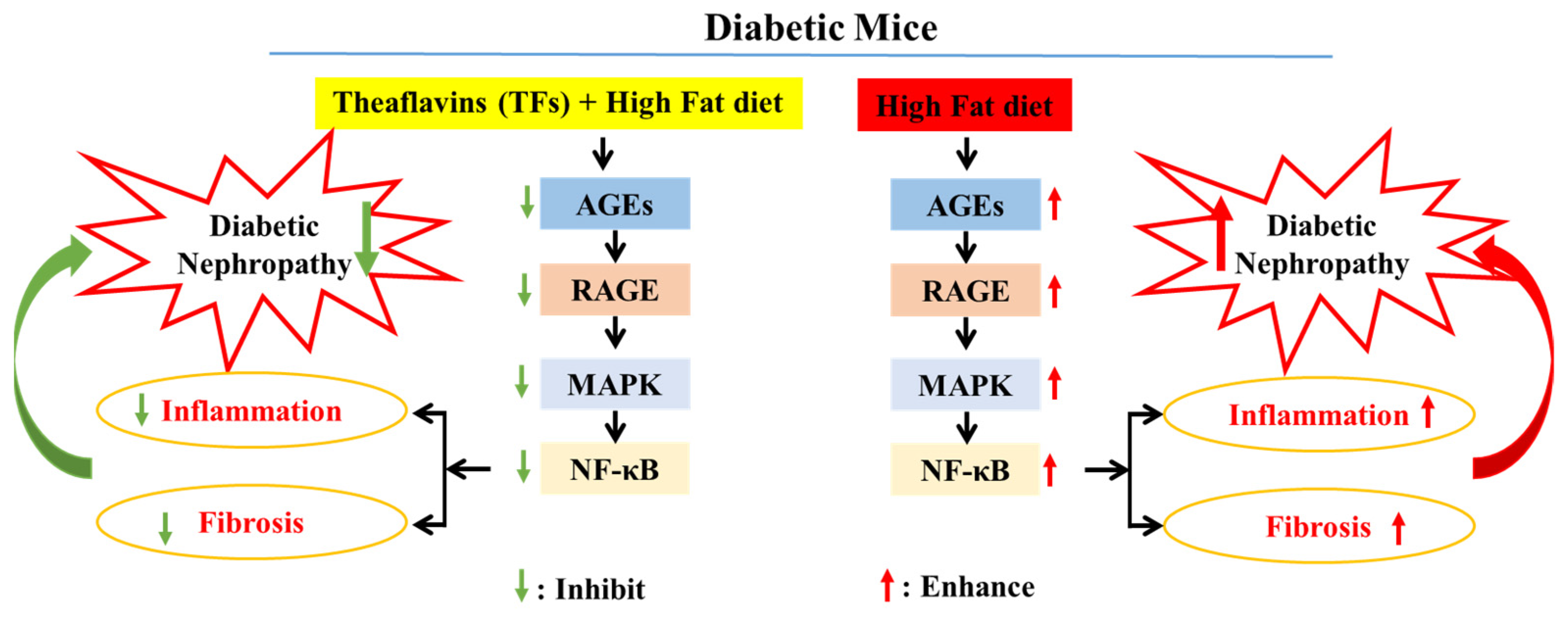 Nutrients 15 00201 g007