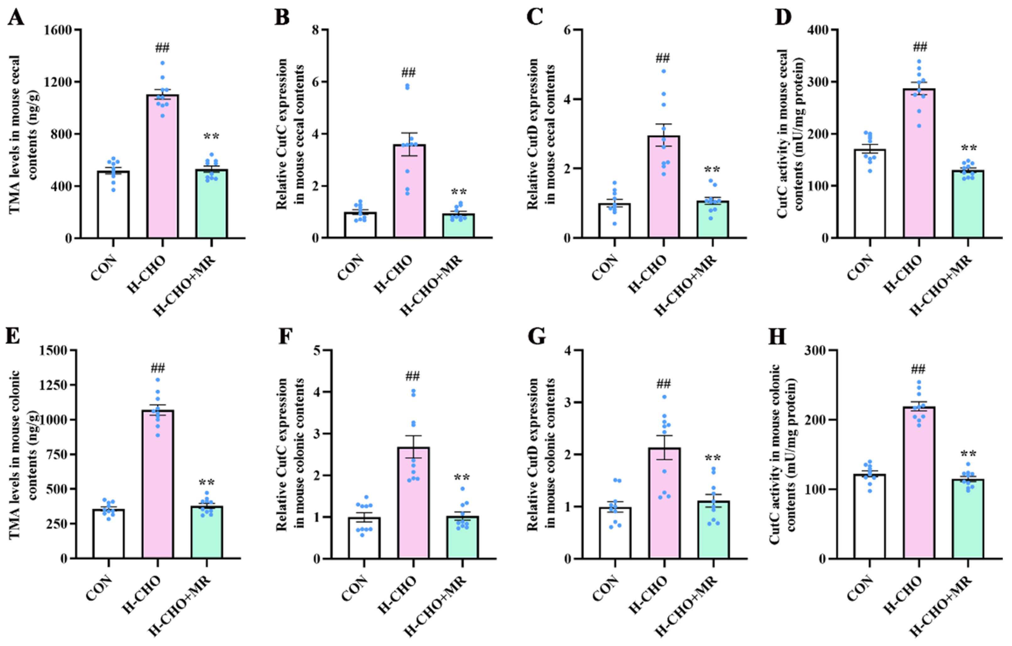 Nutrients 15 00206 g005 Nutrients 15 00206 g005