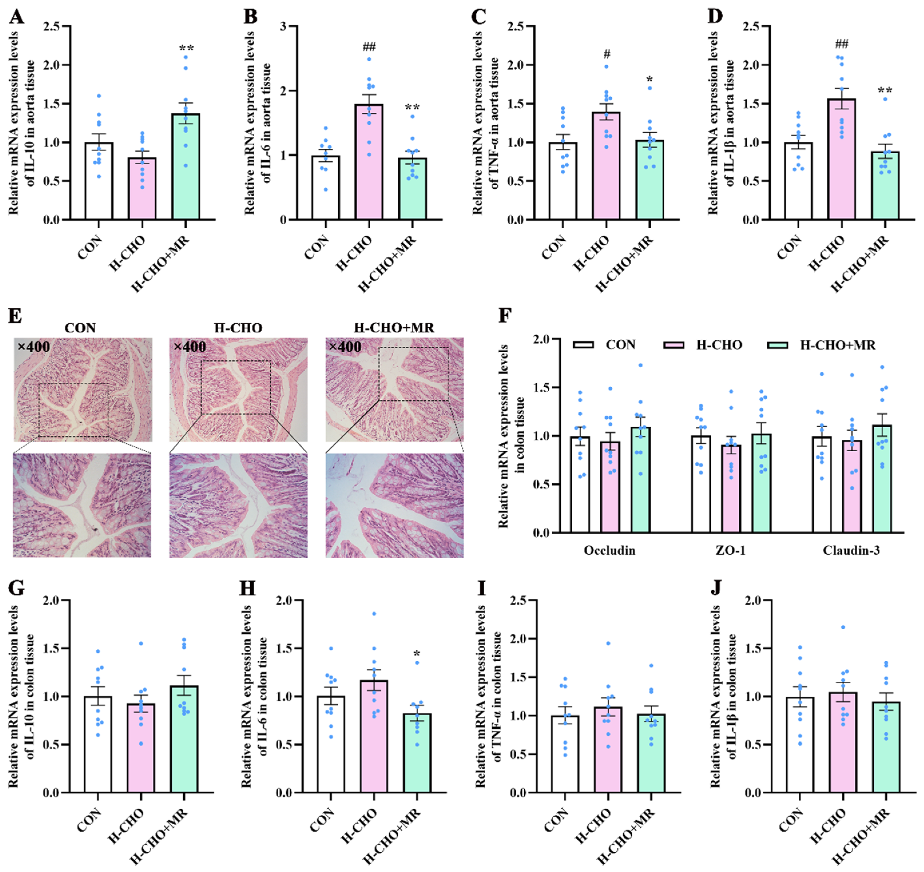 Nutrients 15 00206 g007 Nutrients 15 00206 g007