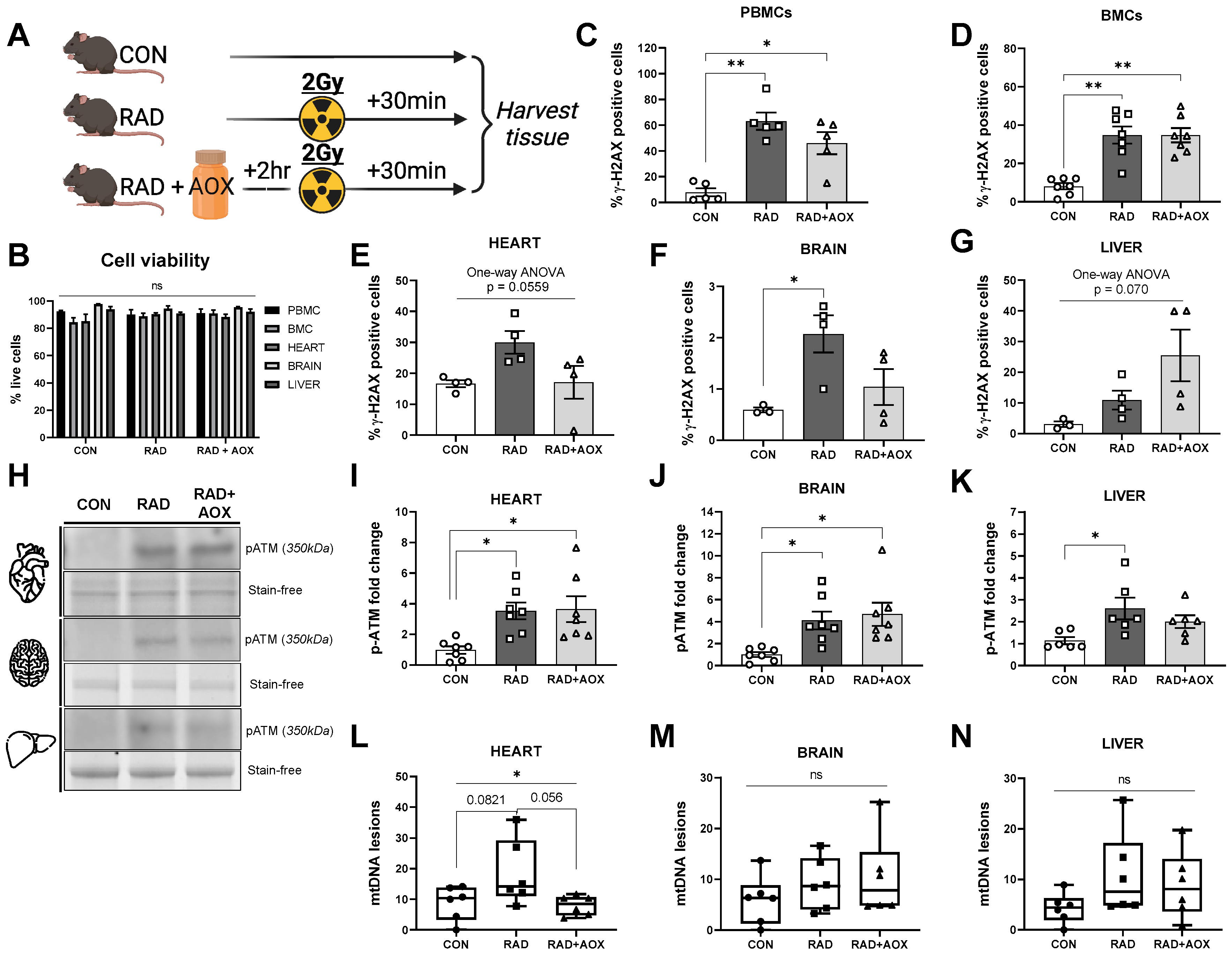 Nutrients 15 00207 g001 Nutrients 15 00207 g001