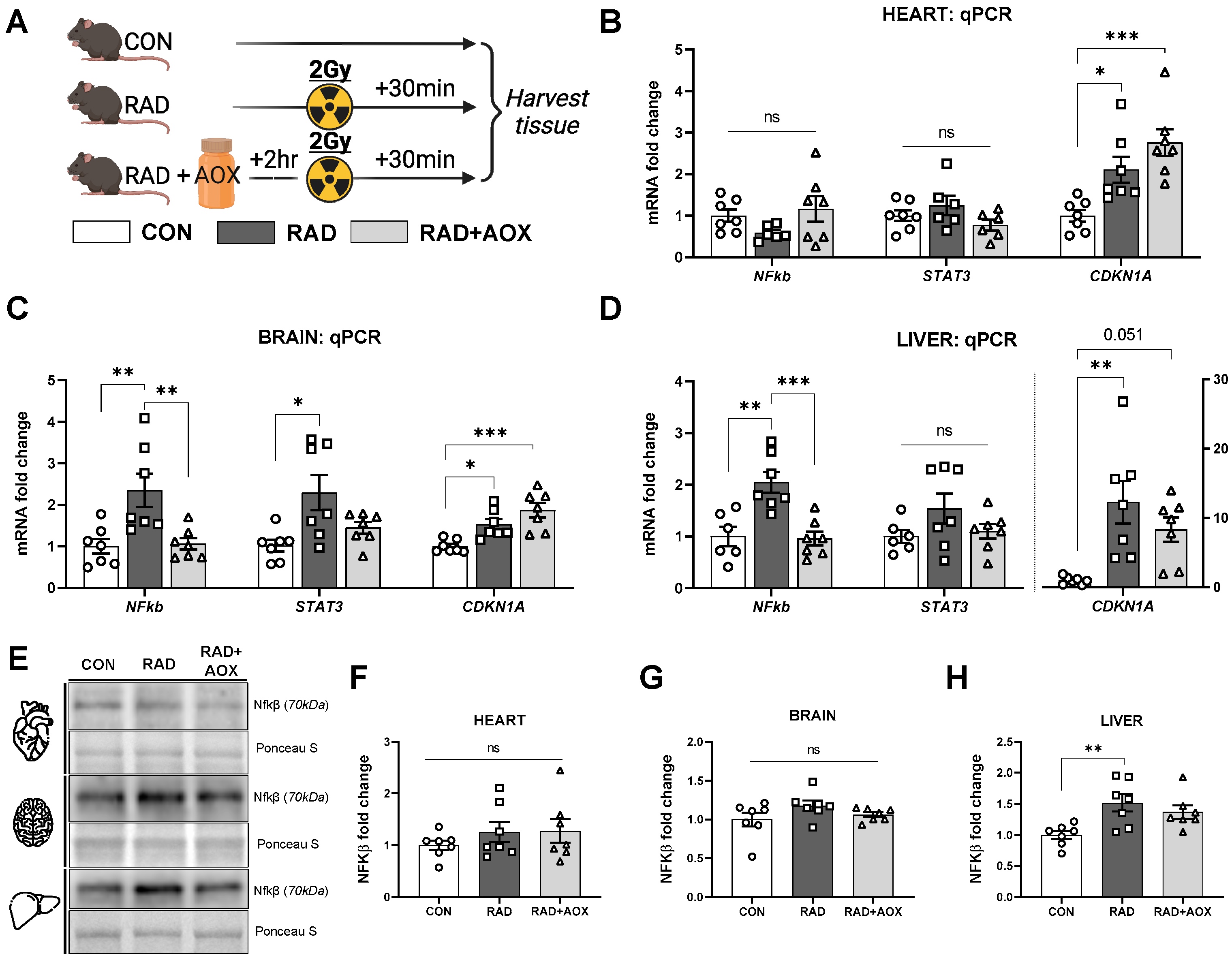 Nutrients 15 00207 g002 Nutrients 15 00207 g002