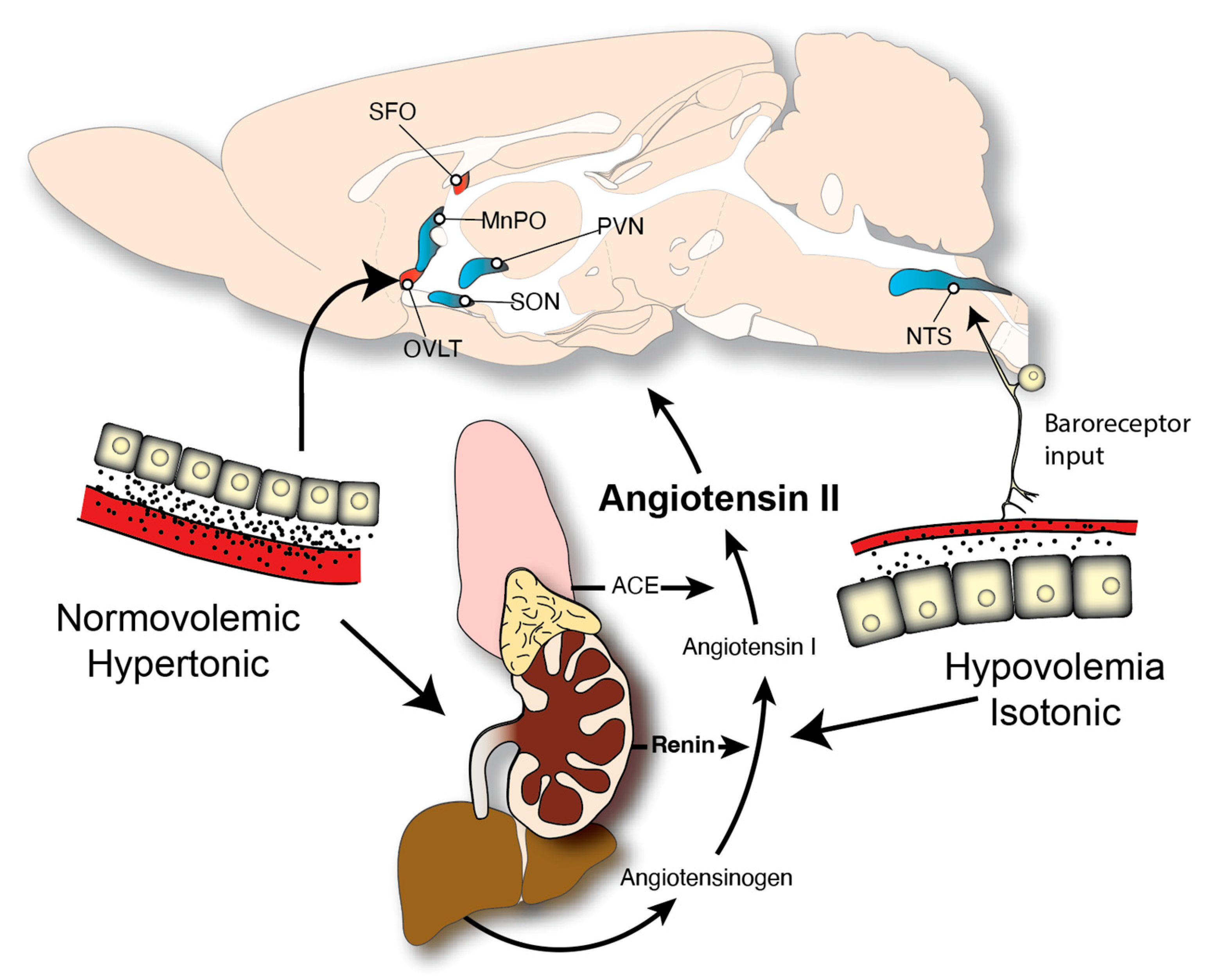 Nutrients 15 00208 g001