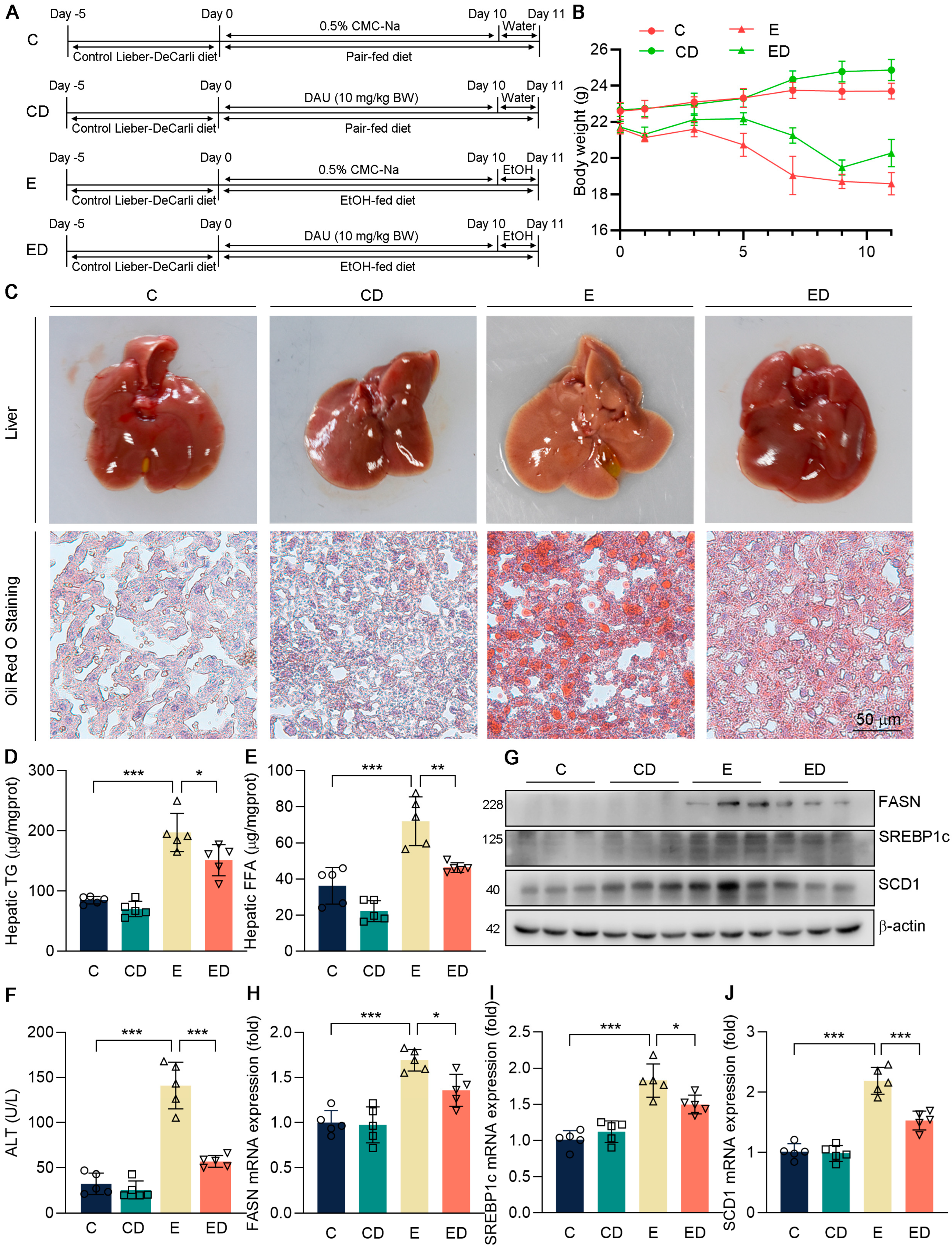 Nutrients 15 00223 g001 Nutrients 15 00223 g001