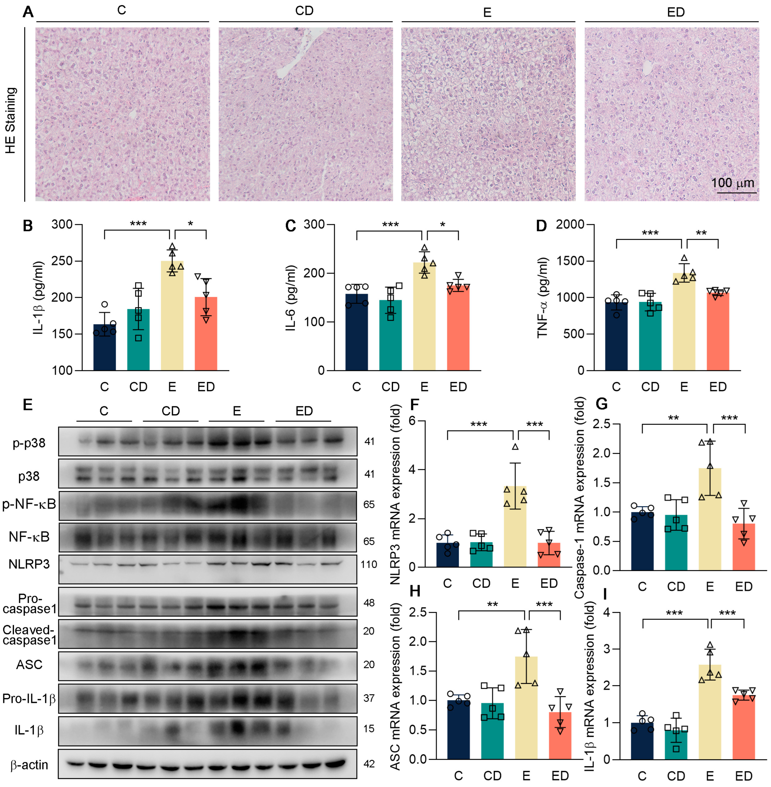 Nutrients 15 00223 g003 Nutrients 15 00223 g003