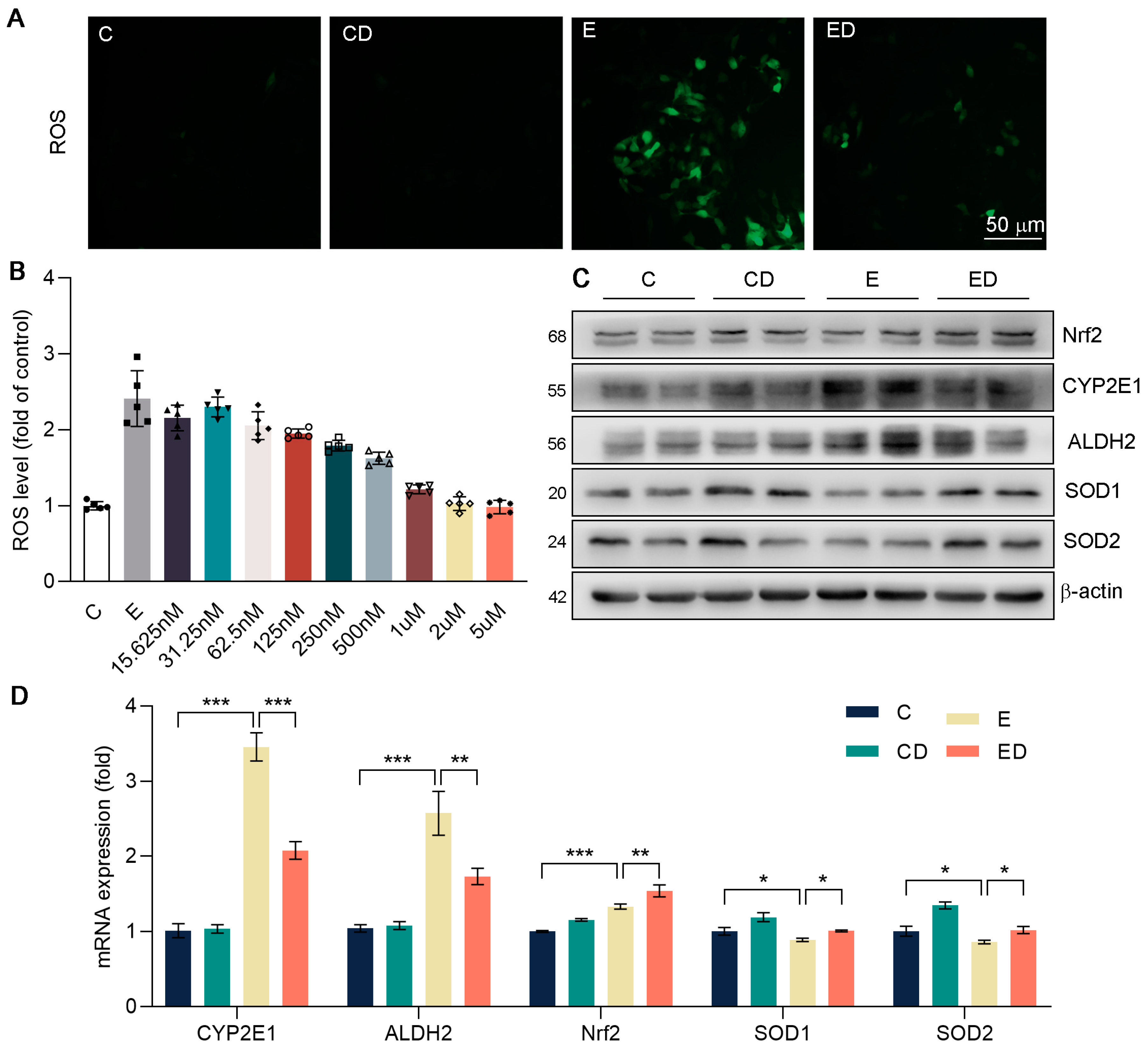 Nutrients 15 00223 g005 Nutrients 15 00223 g005