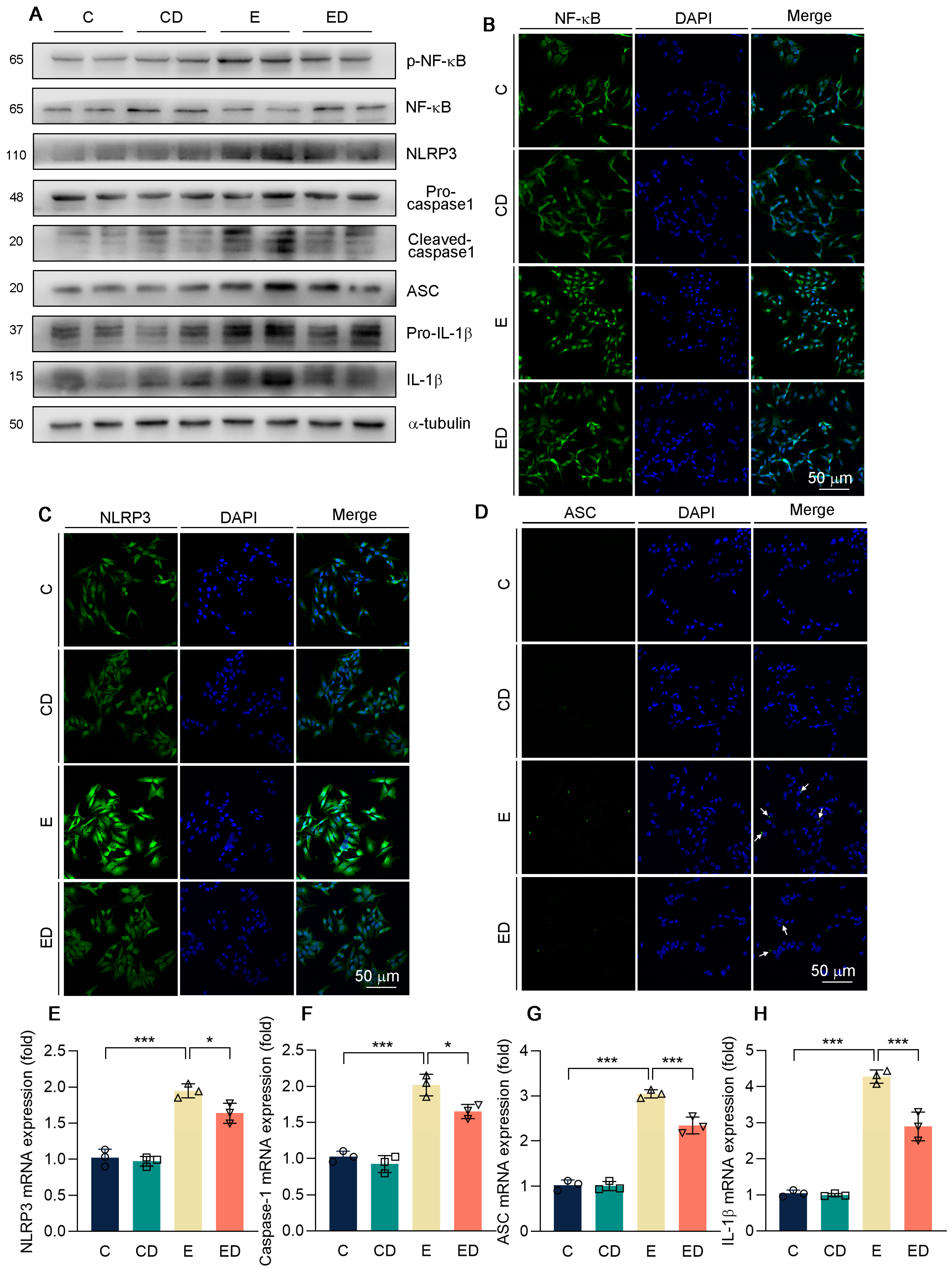 Nutrients 15 00223 g006 Nutrients 15 00223 g006