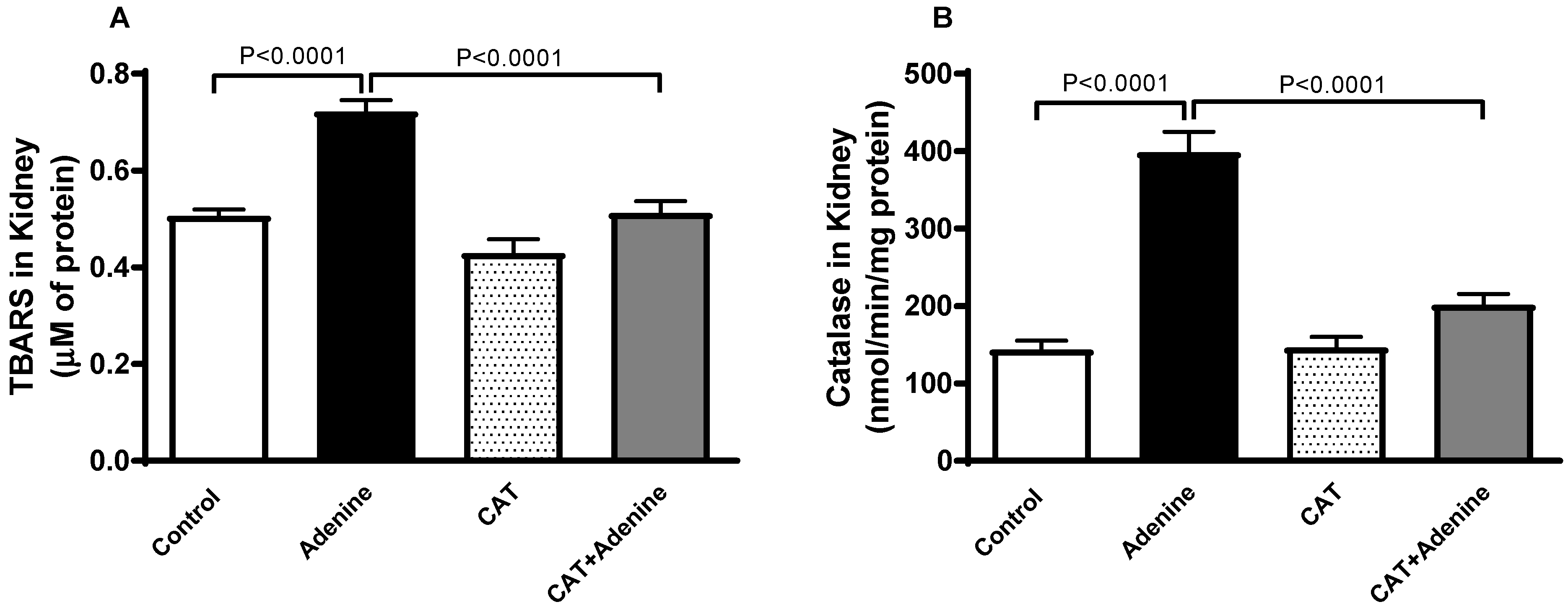 Nutrients 15 00237 g002 Nutrients 15 00237 g002
