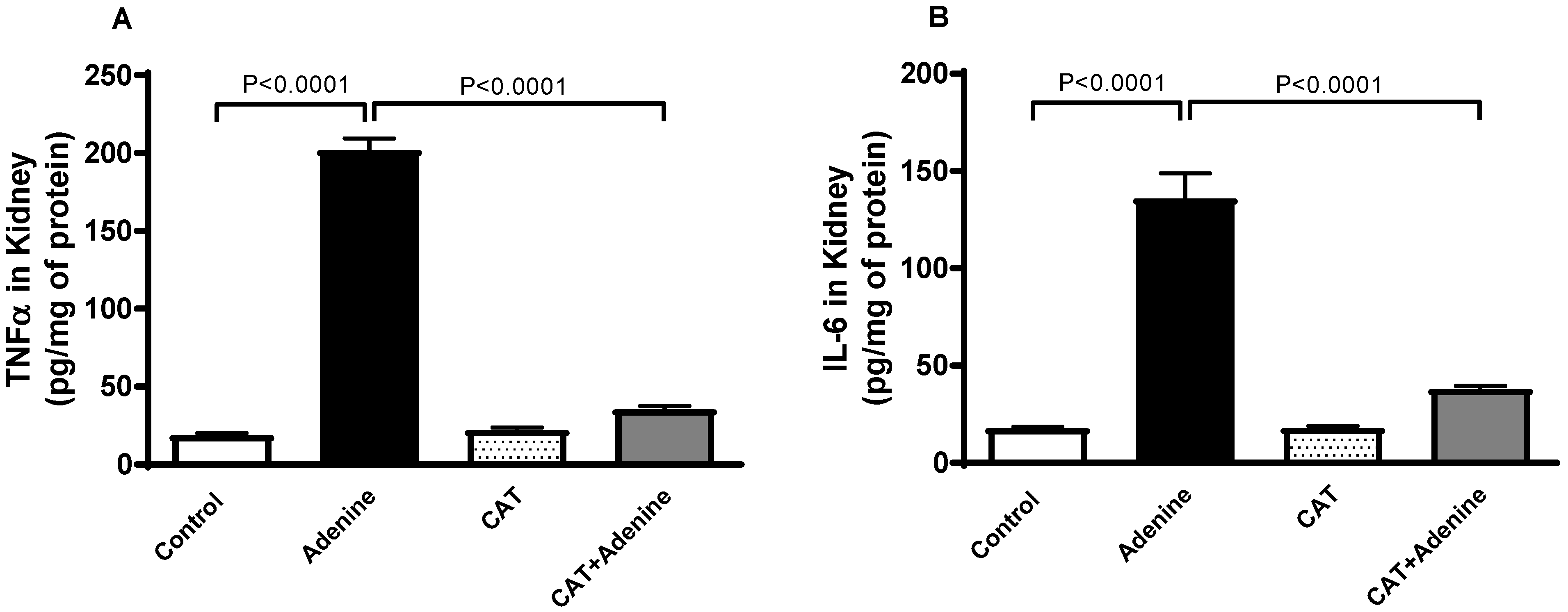Nutrients 15 00237 g003 Nutrients 15 00237 g003