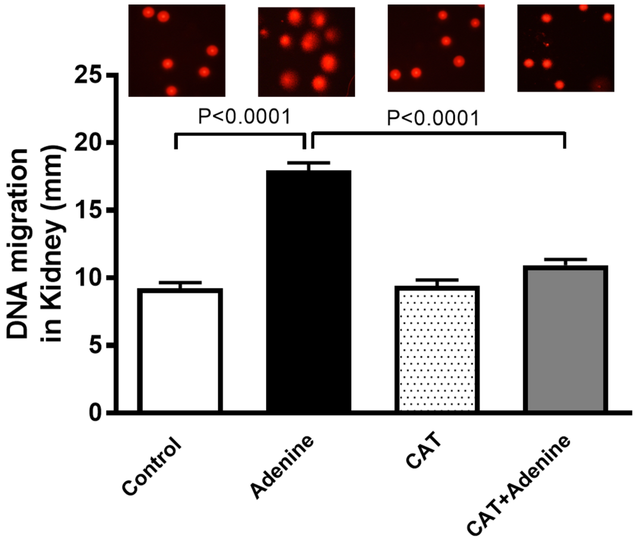 Nutrients 15 00237 g004 Nutrients 15 00237 g004